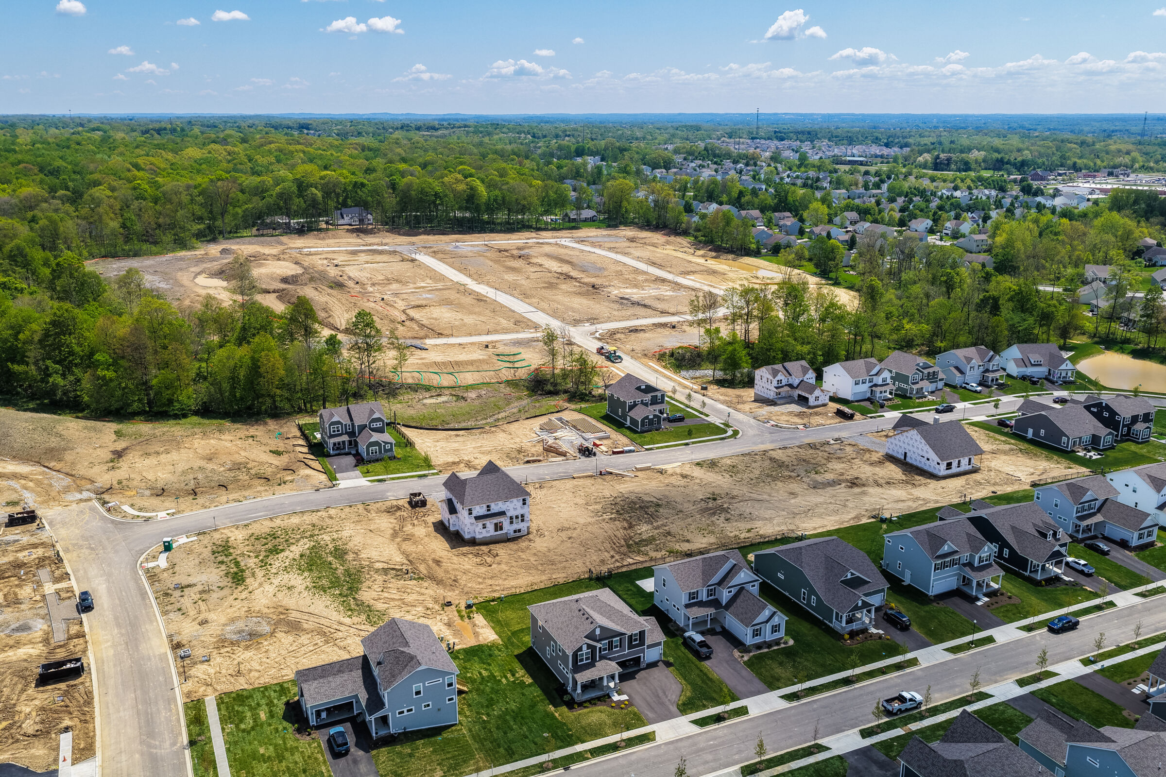 Forest Ridge