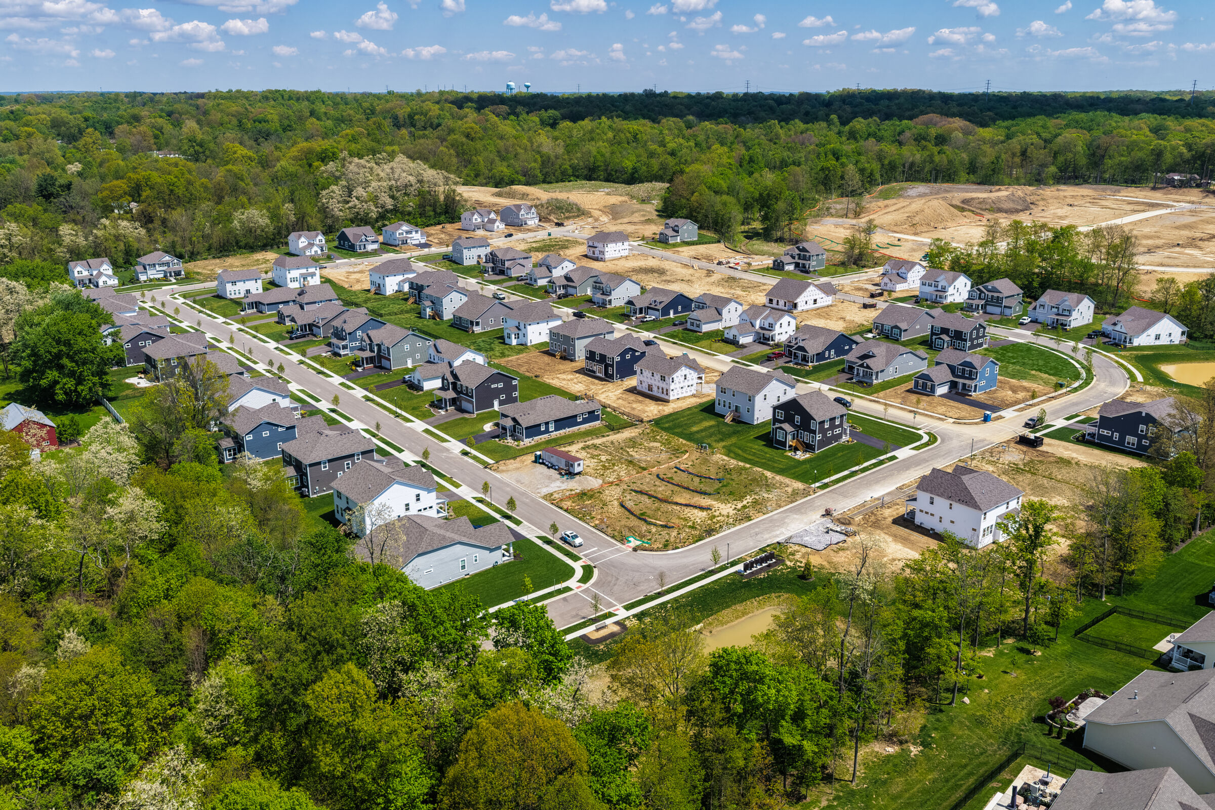 Forest Ridge