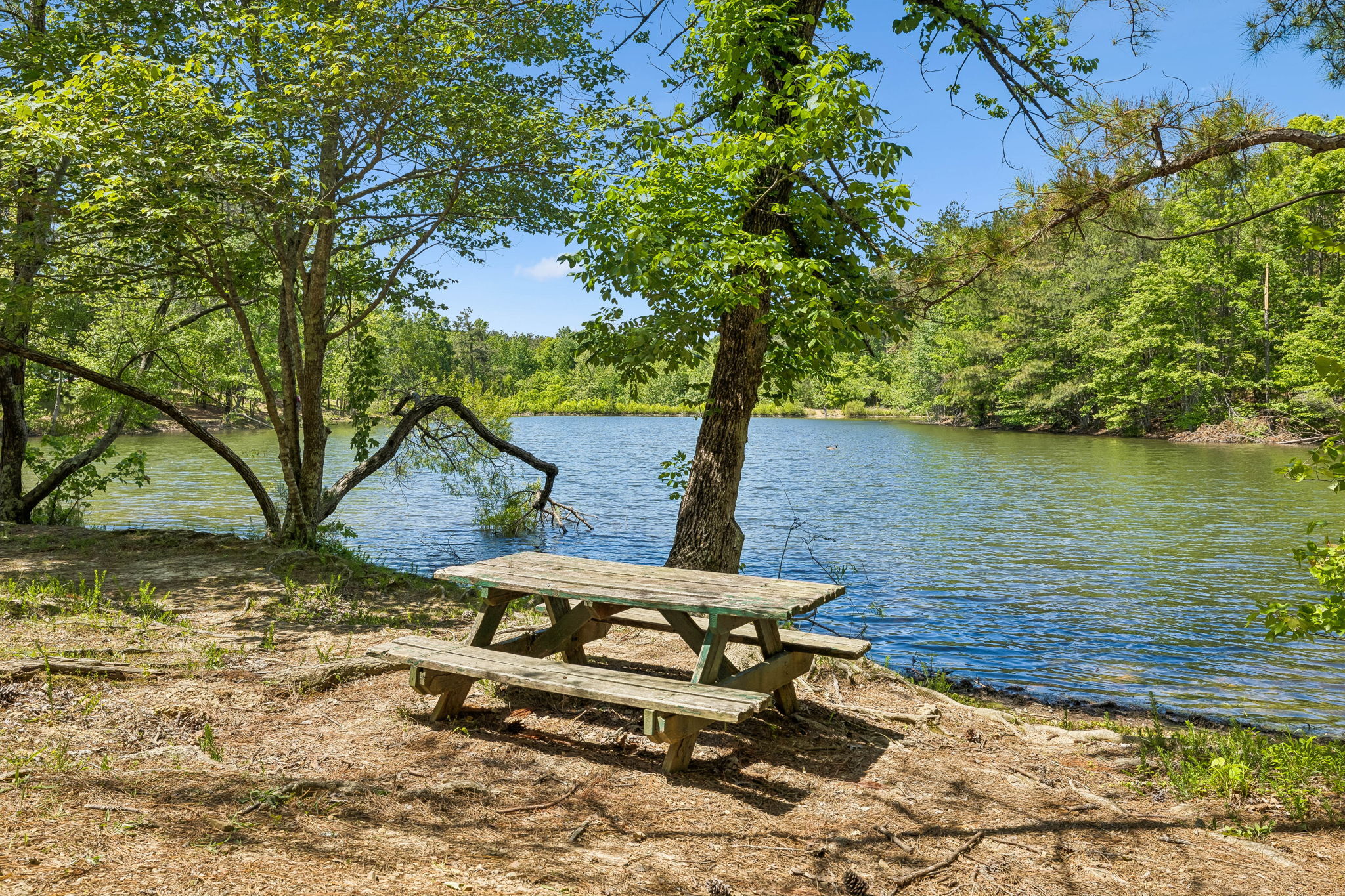 Otter Creek