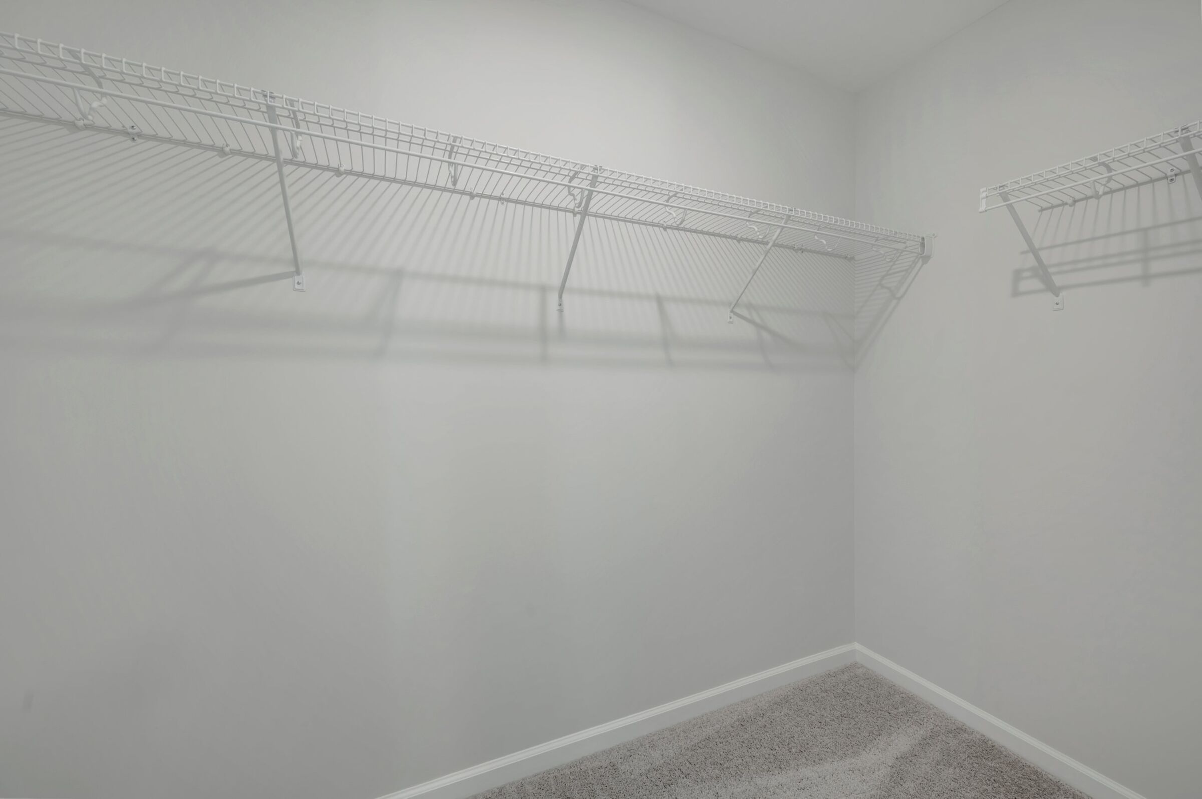 Owner's Closet