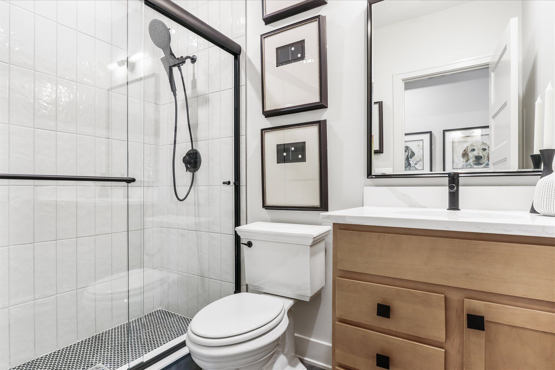 Lower Level  Bathroom