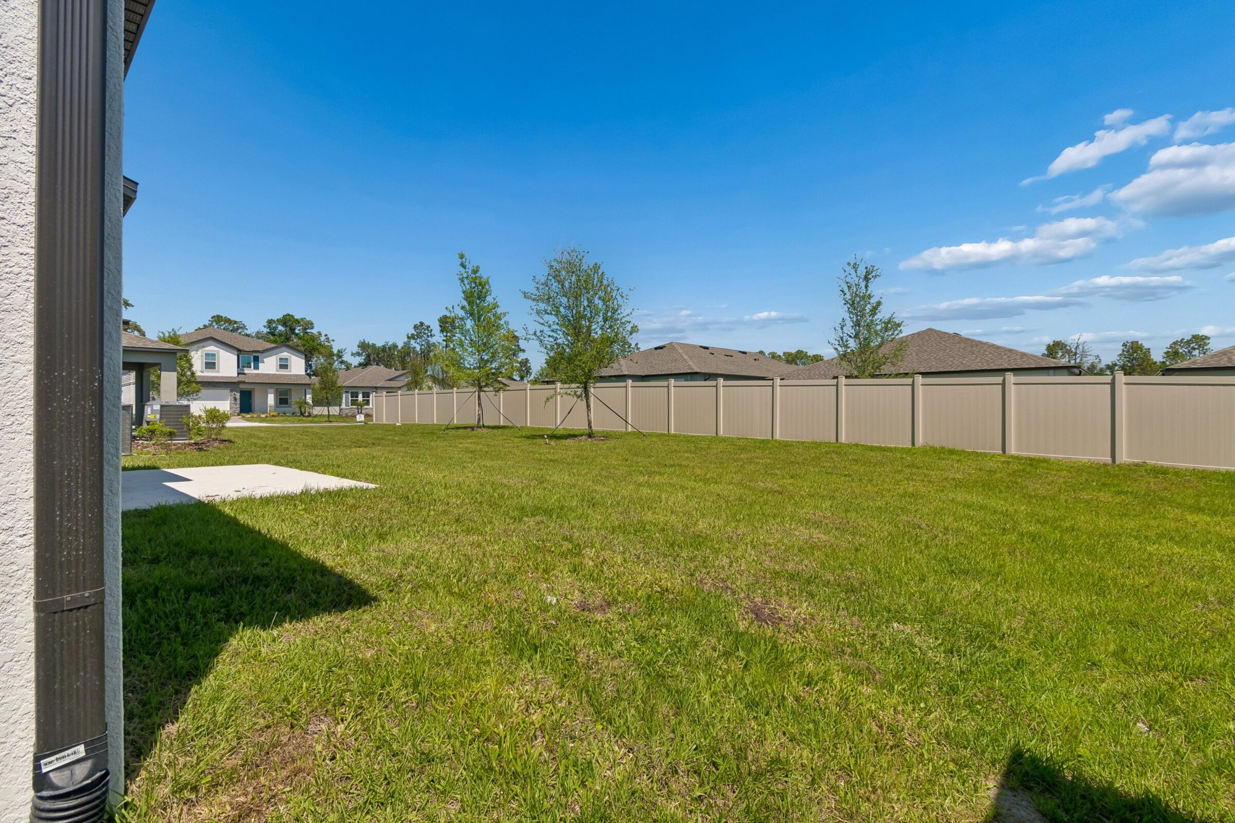 Backyard