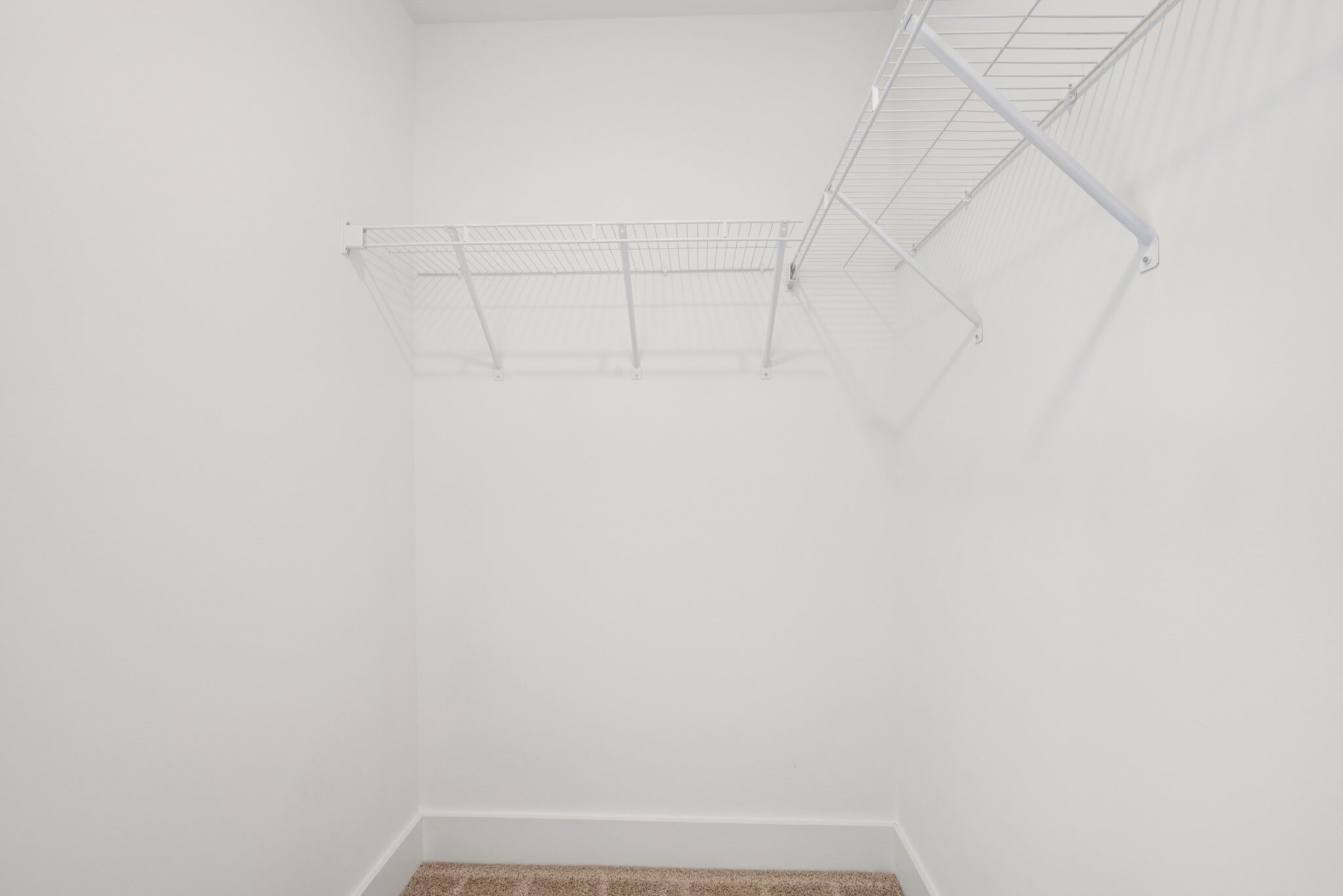 Owner's Closet