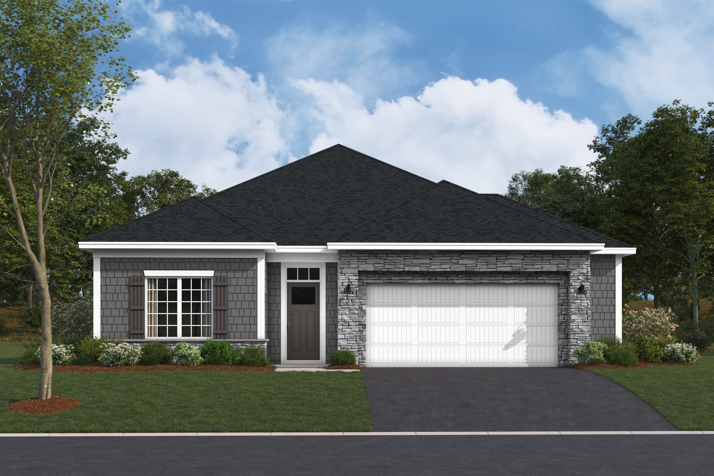 Cedarwood II