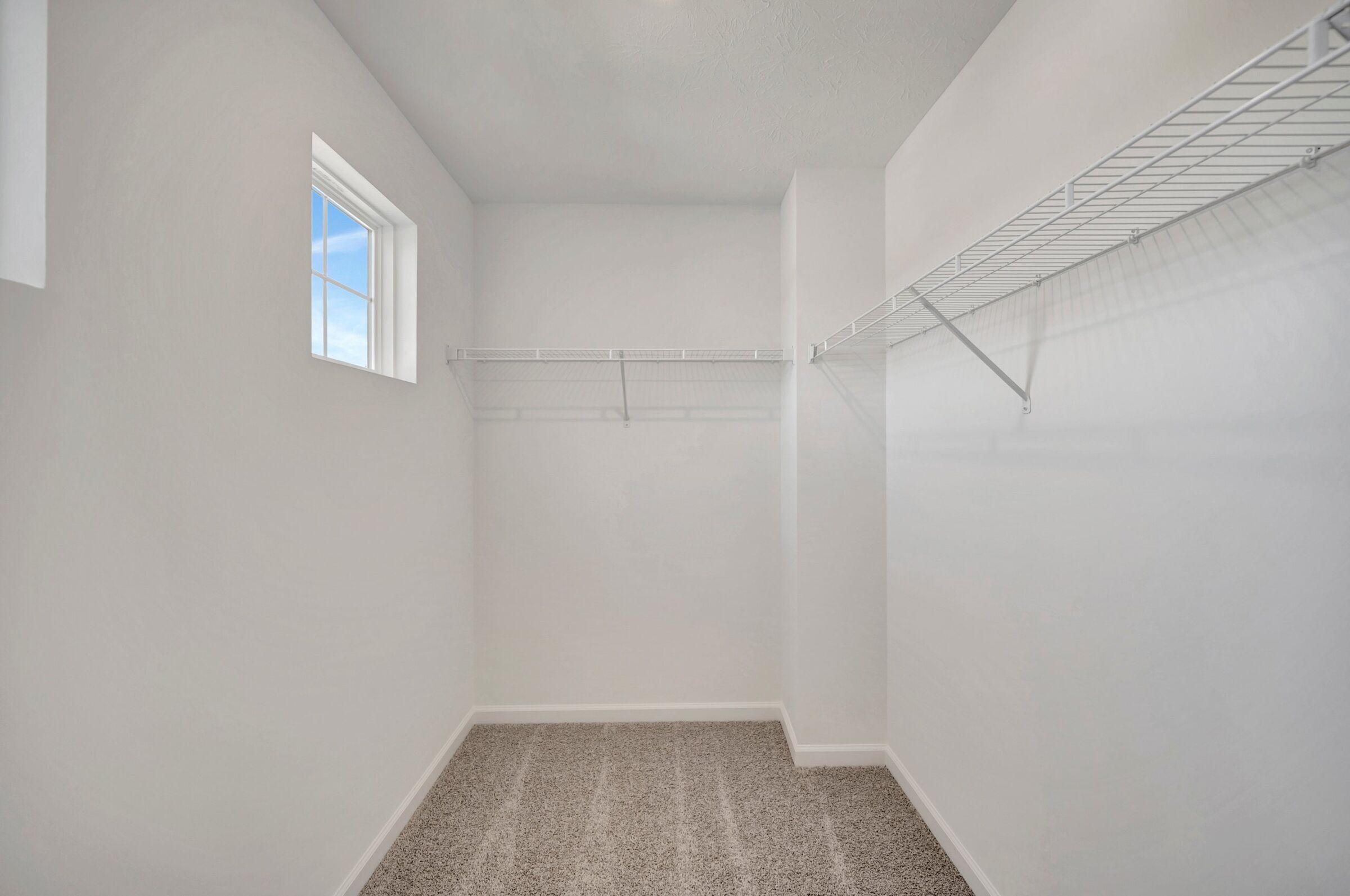 Owner's Closet