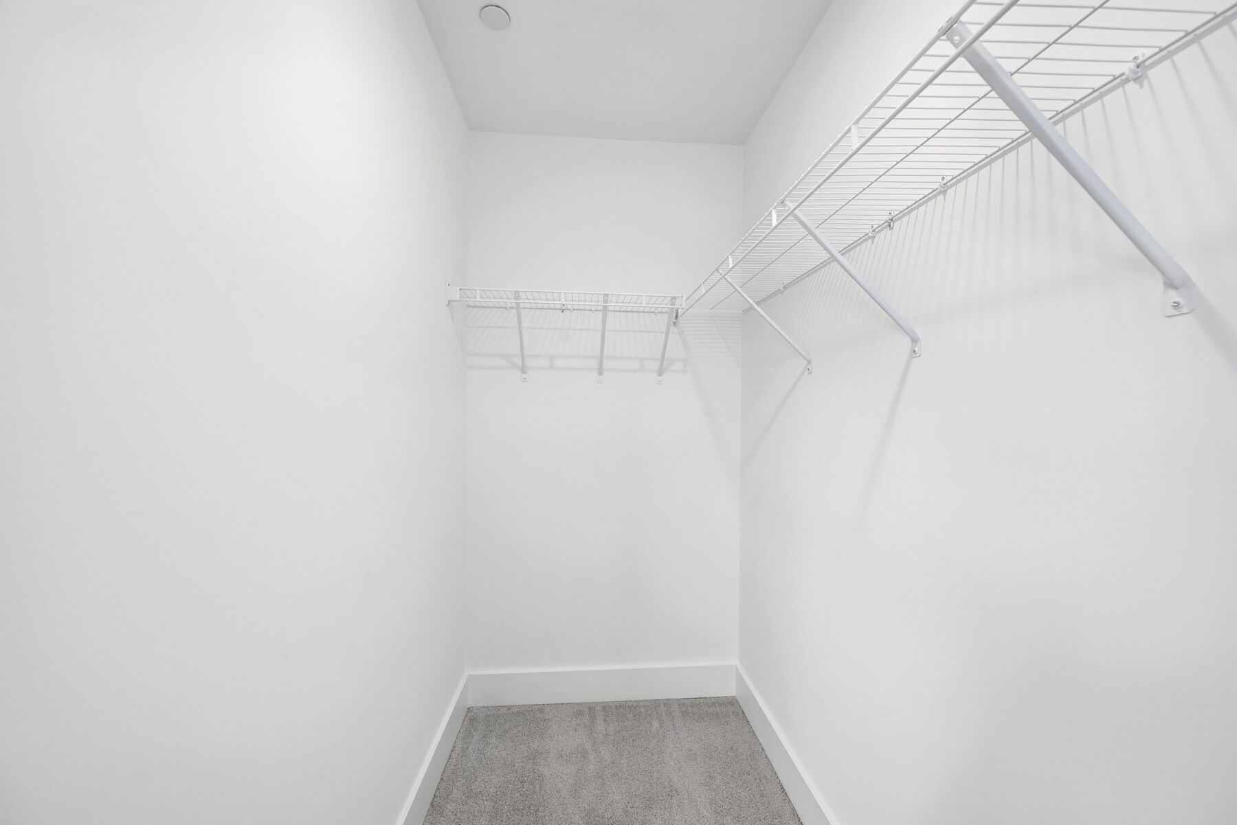 Owner's Closet