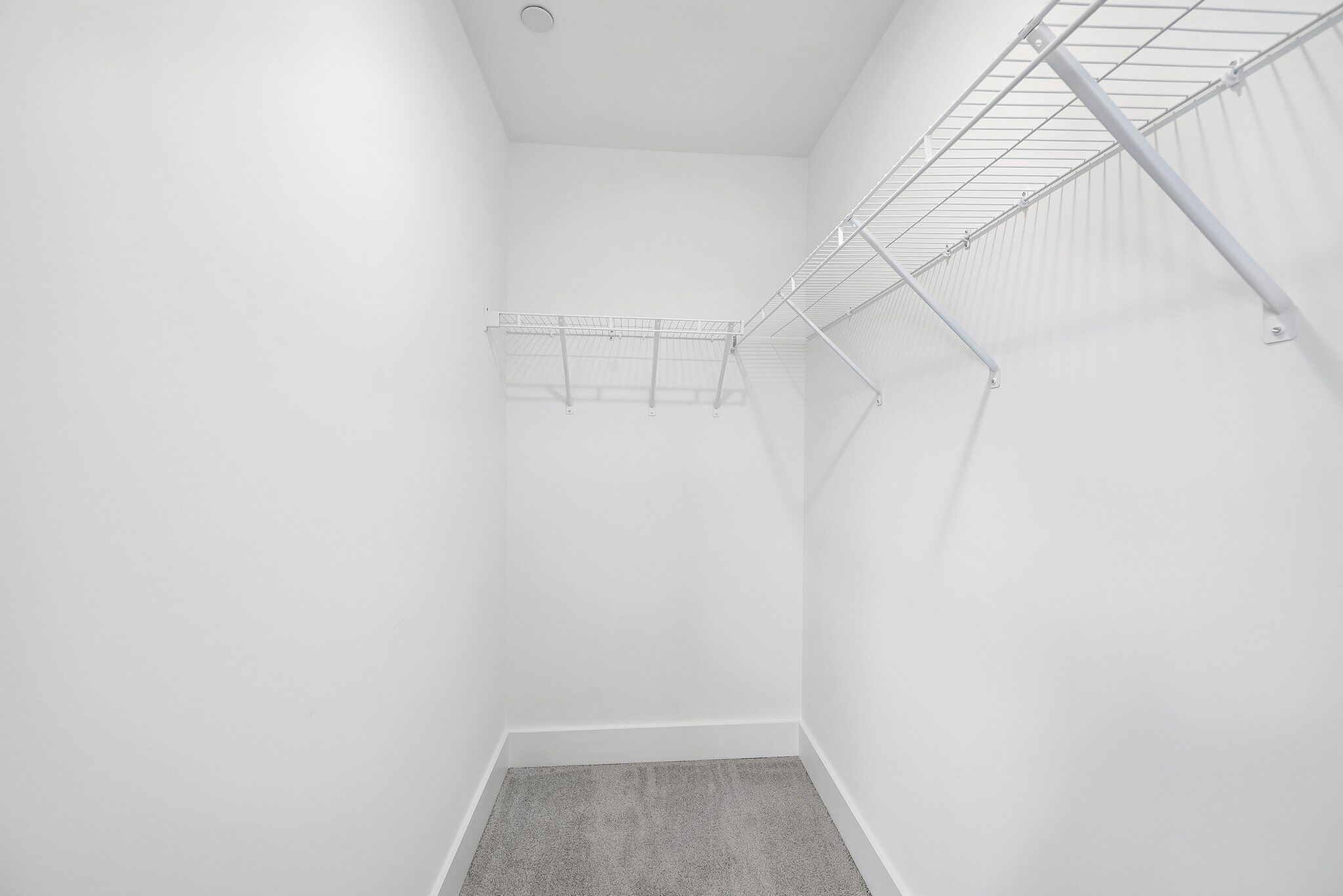 Owner's Closet