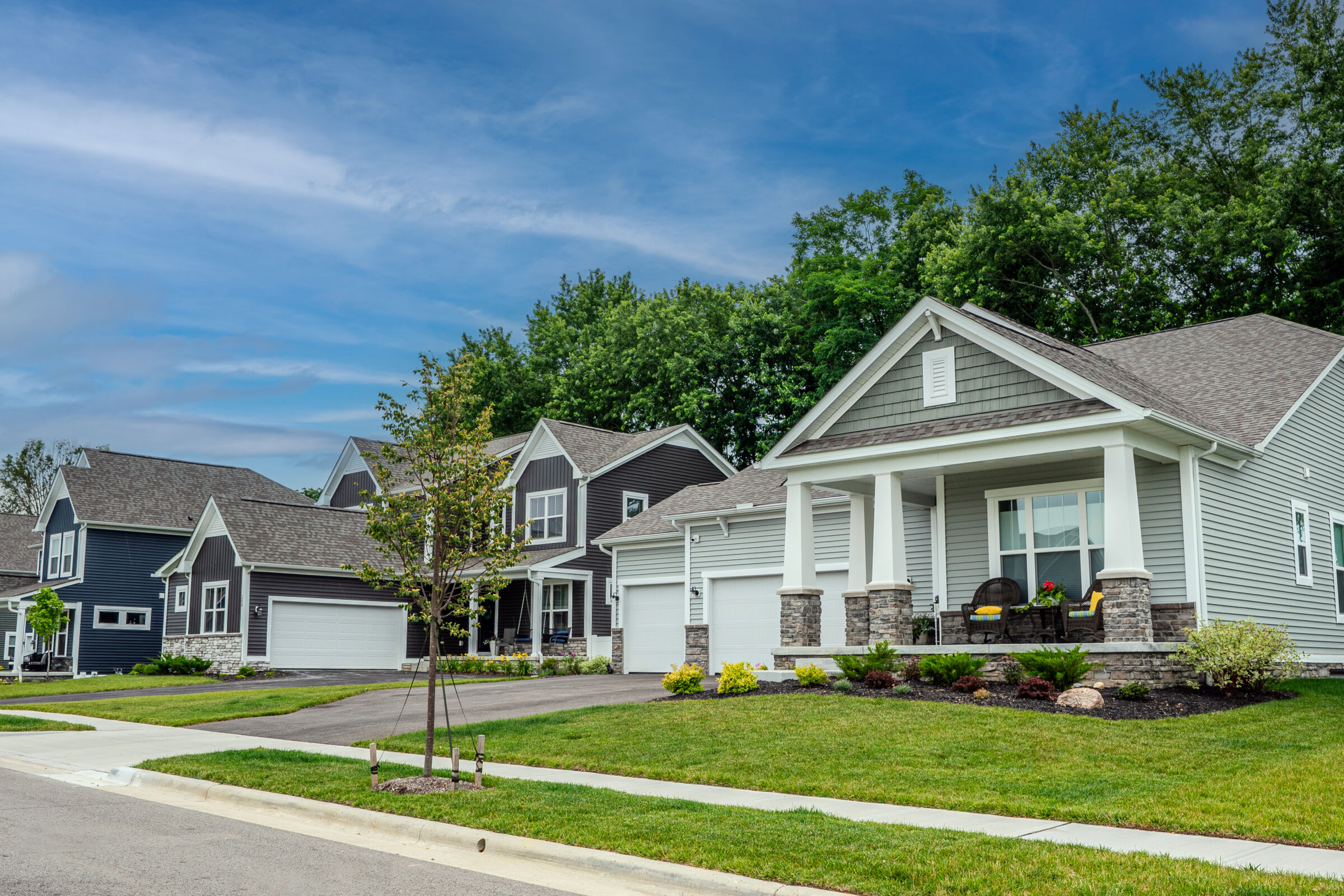 Forest Ridge