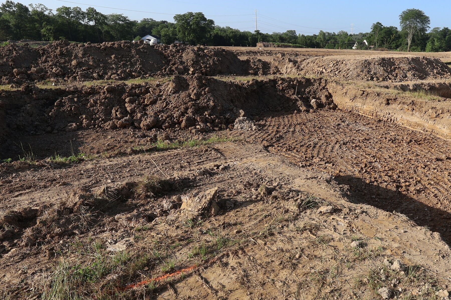 Homesite