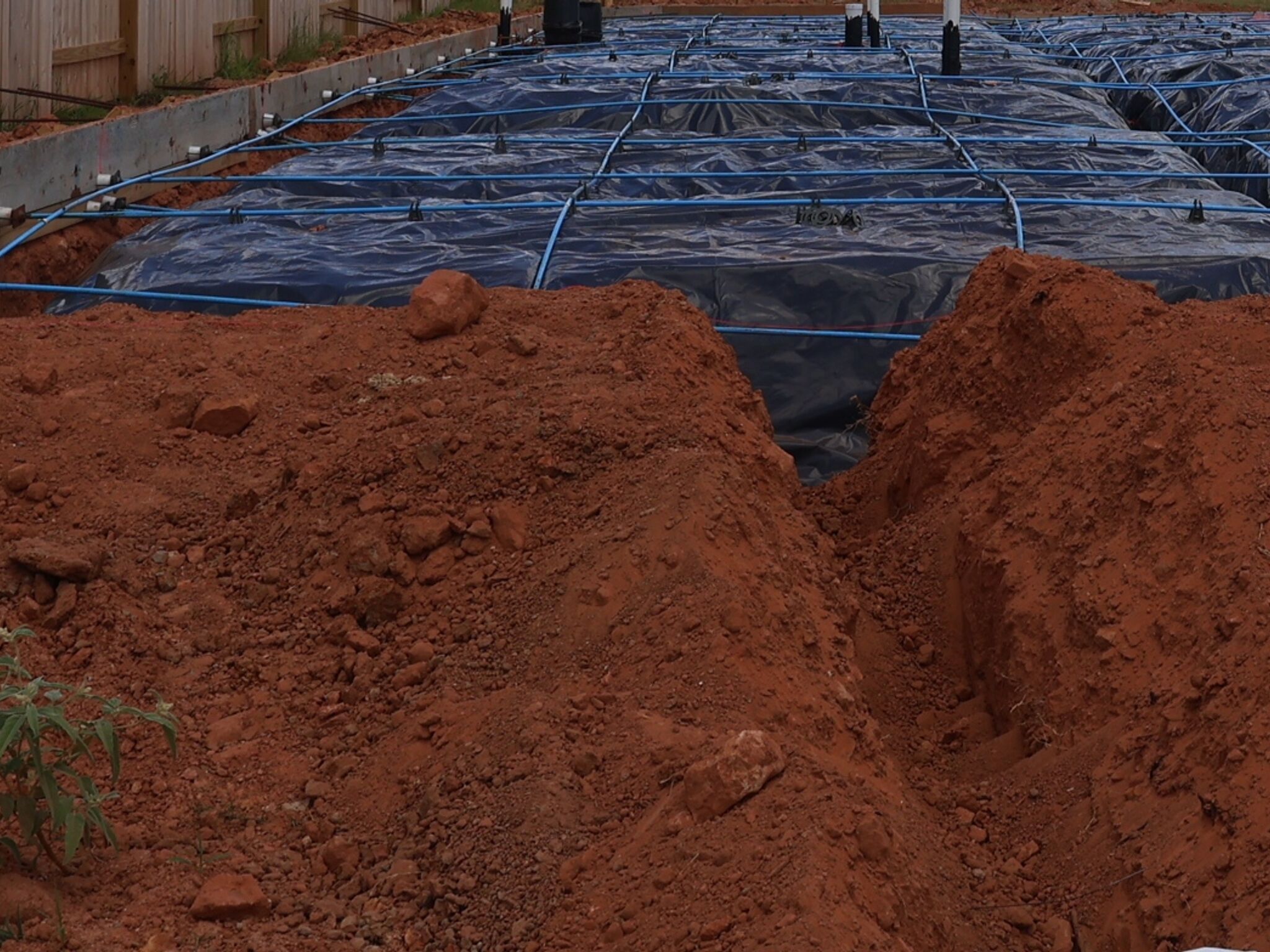 Homesite