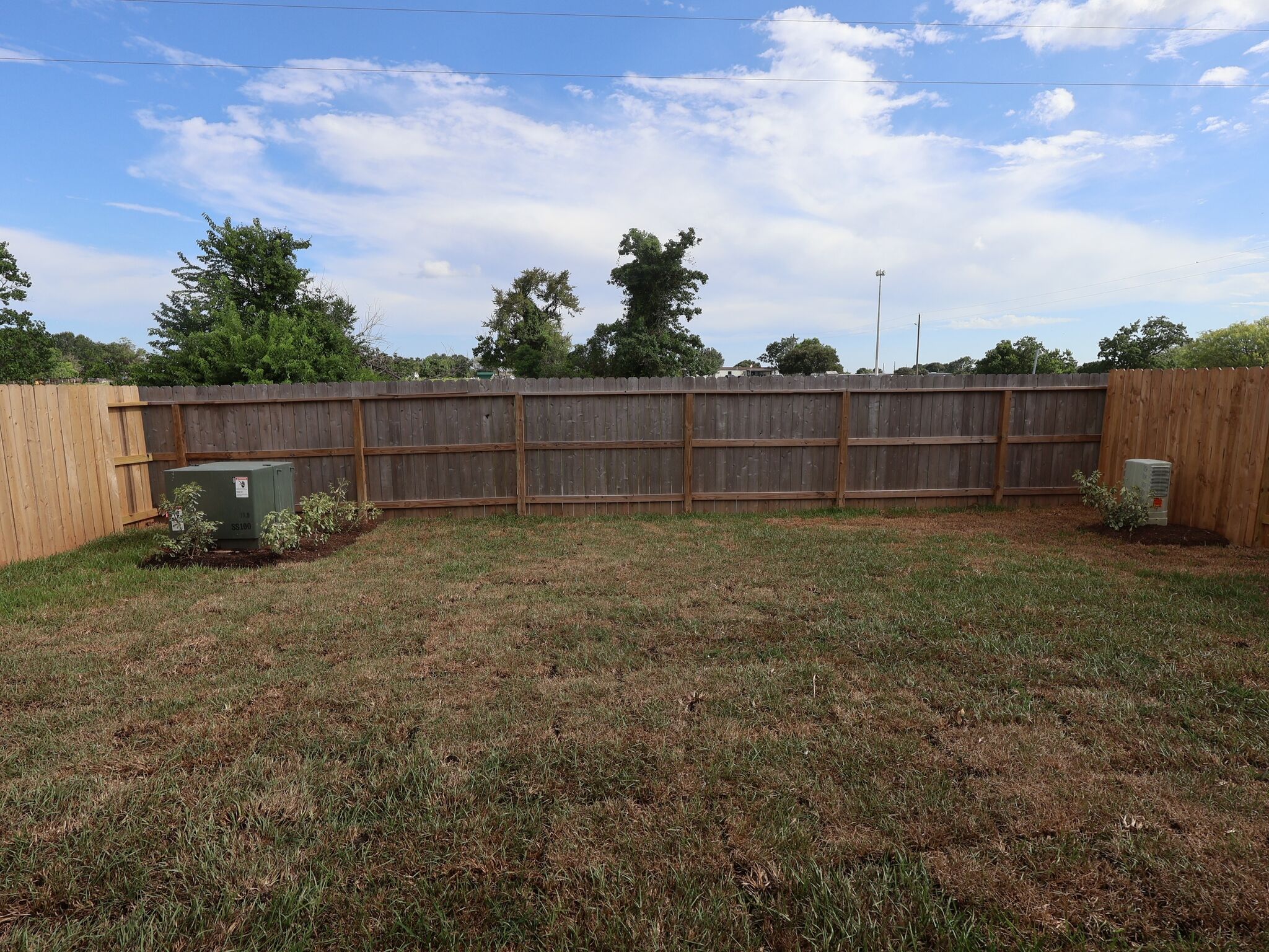 Backyard