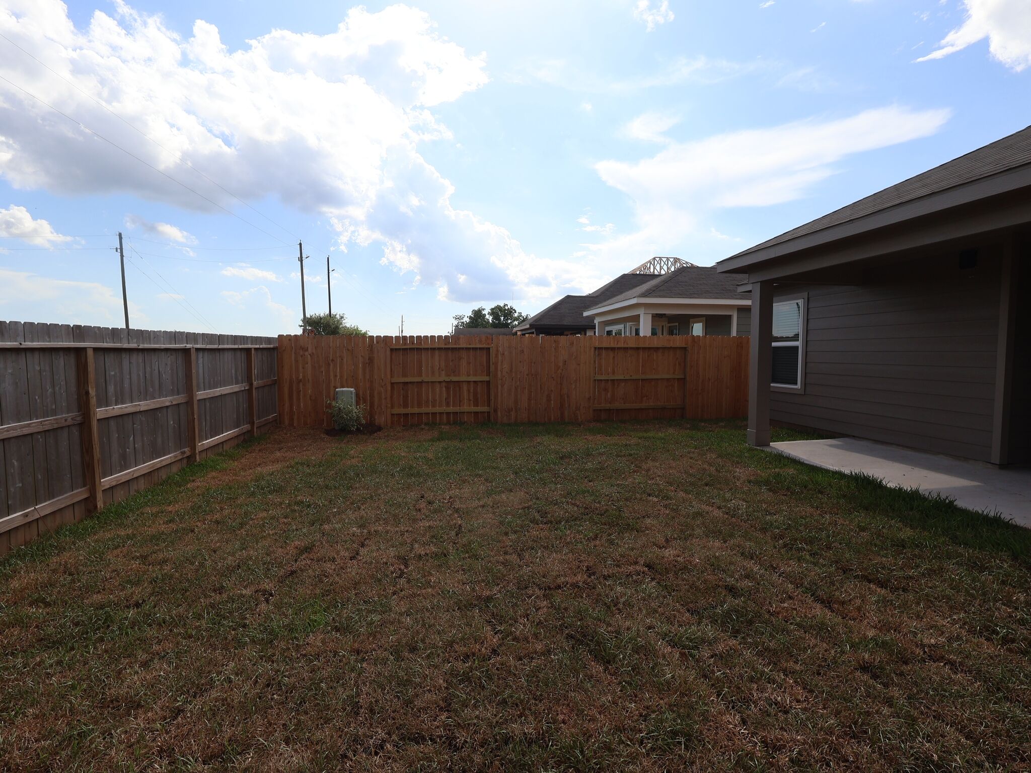 Backyard