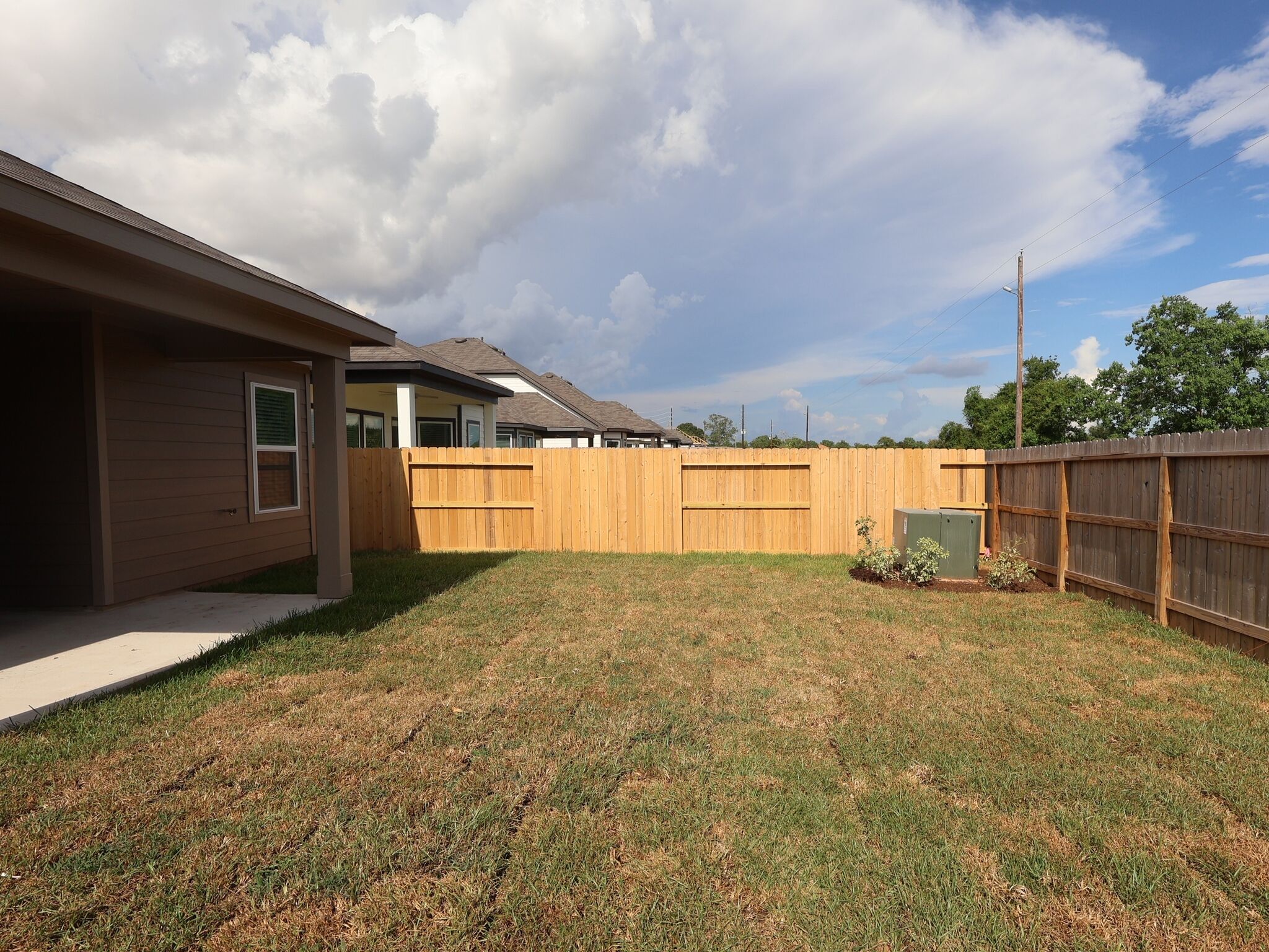 Backyard
