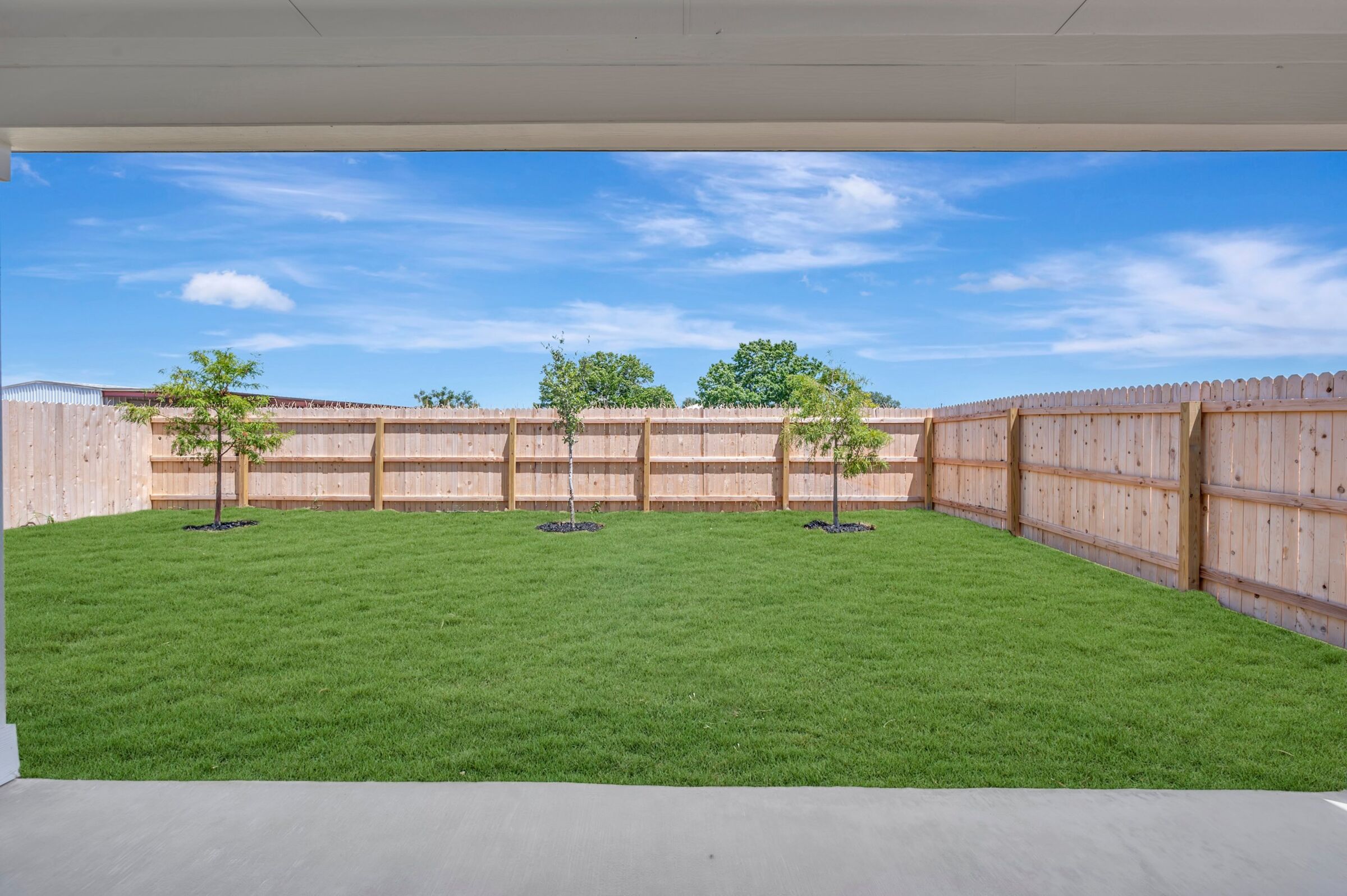 Backyard
