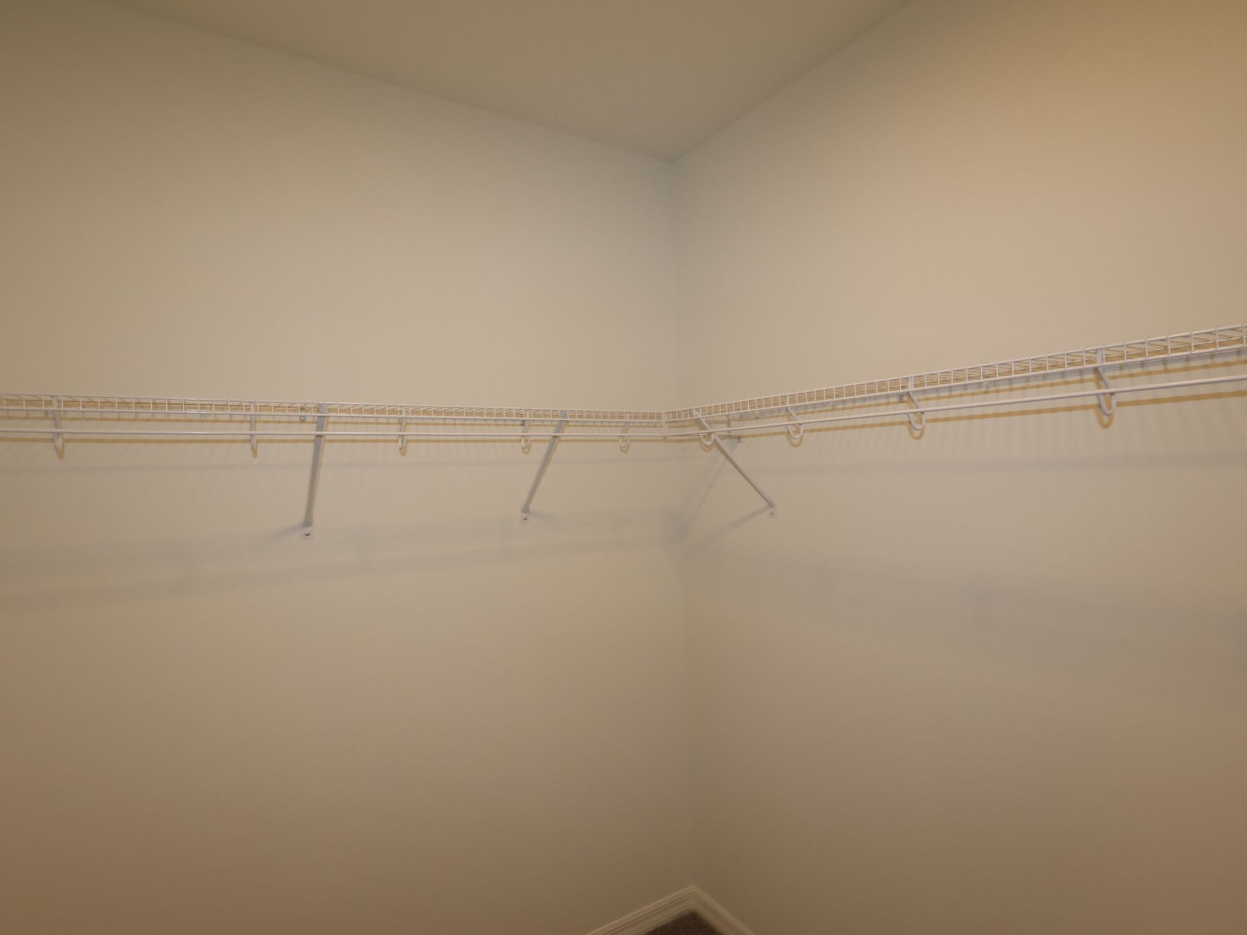 Owner's Closet