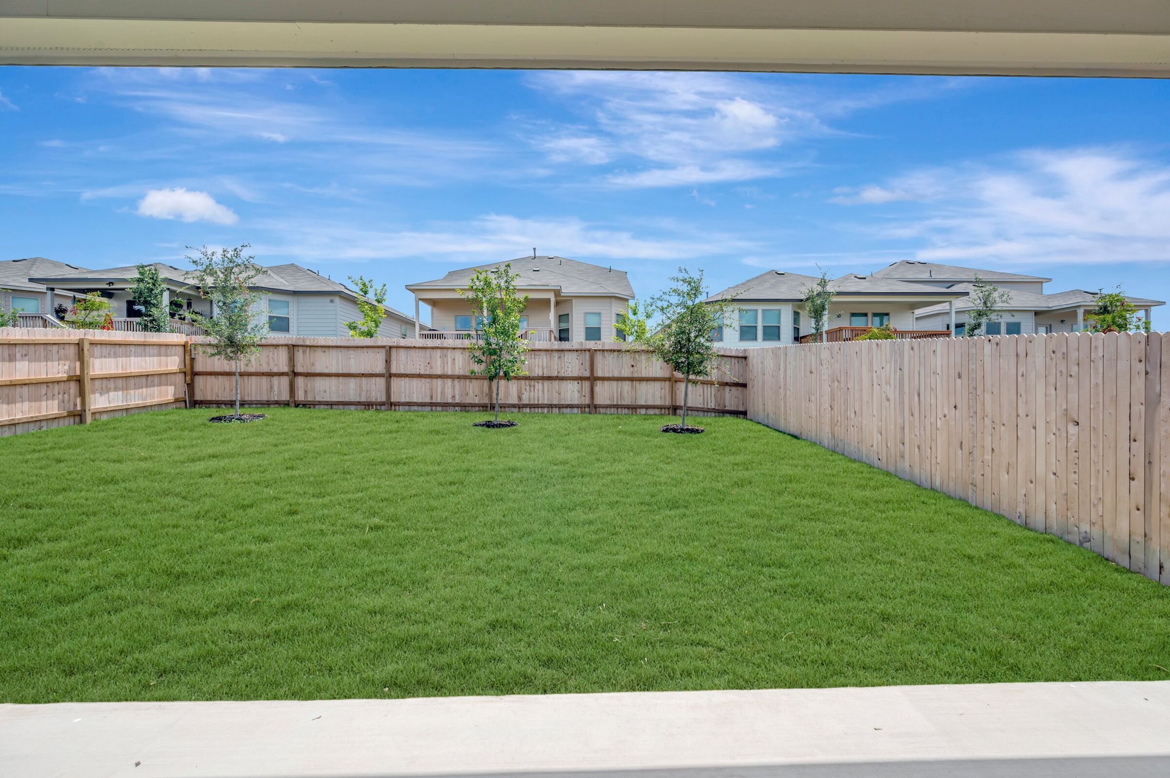 Backyard