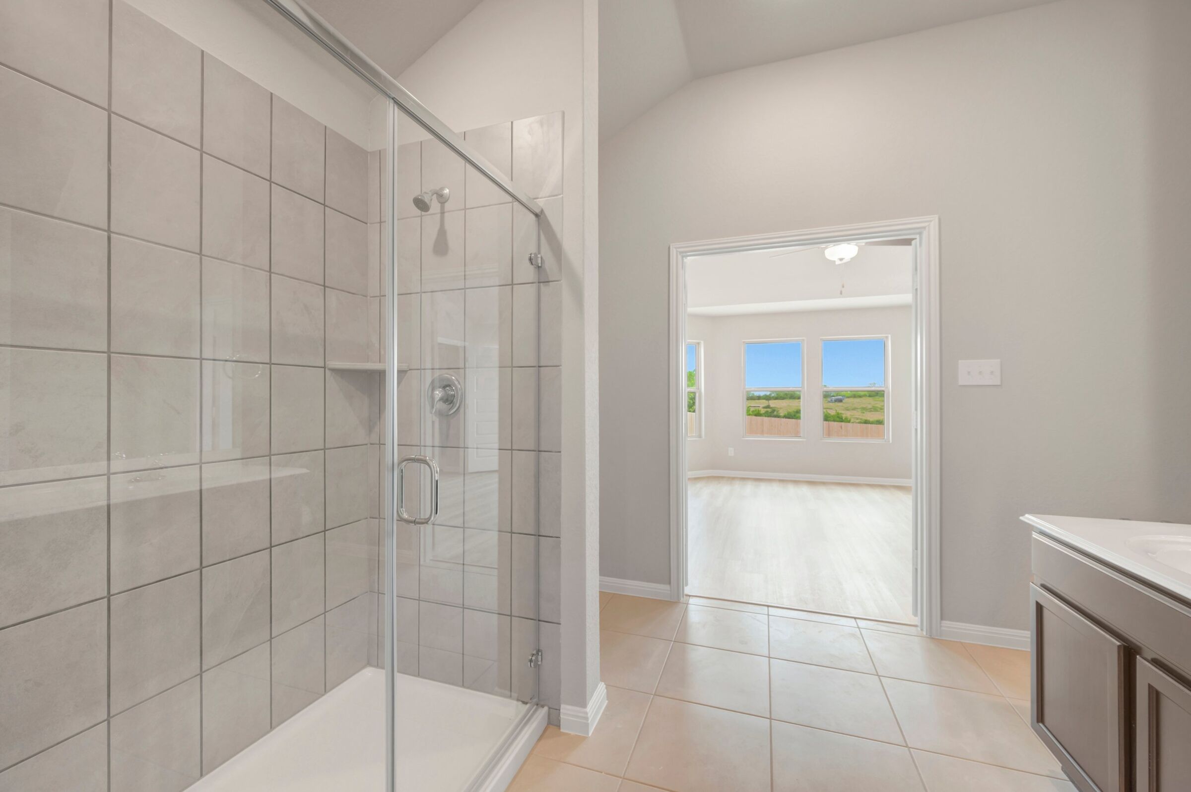 Owner's Bathroom