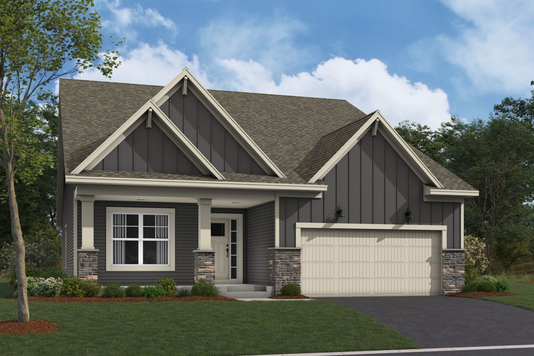 Sycamore Elevation II