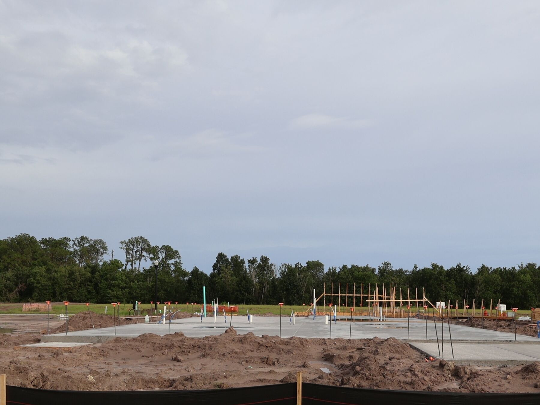 Homesite