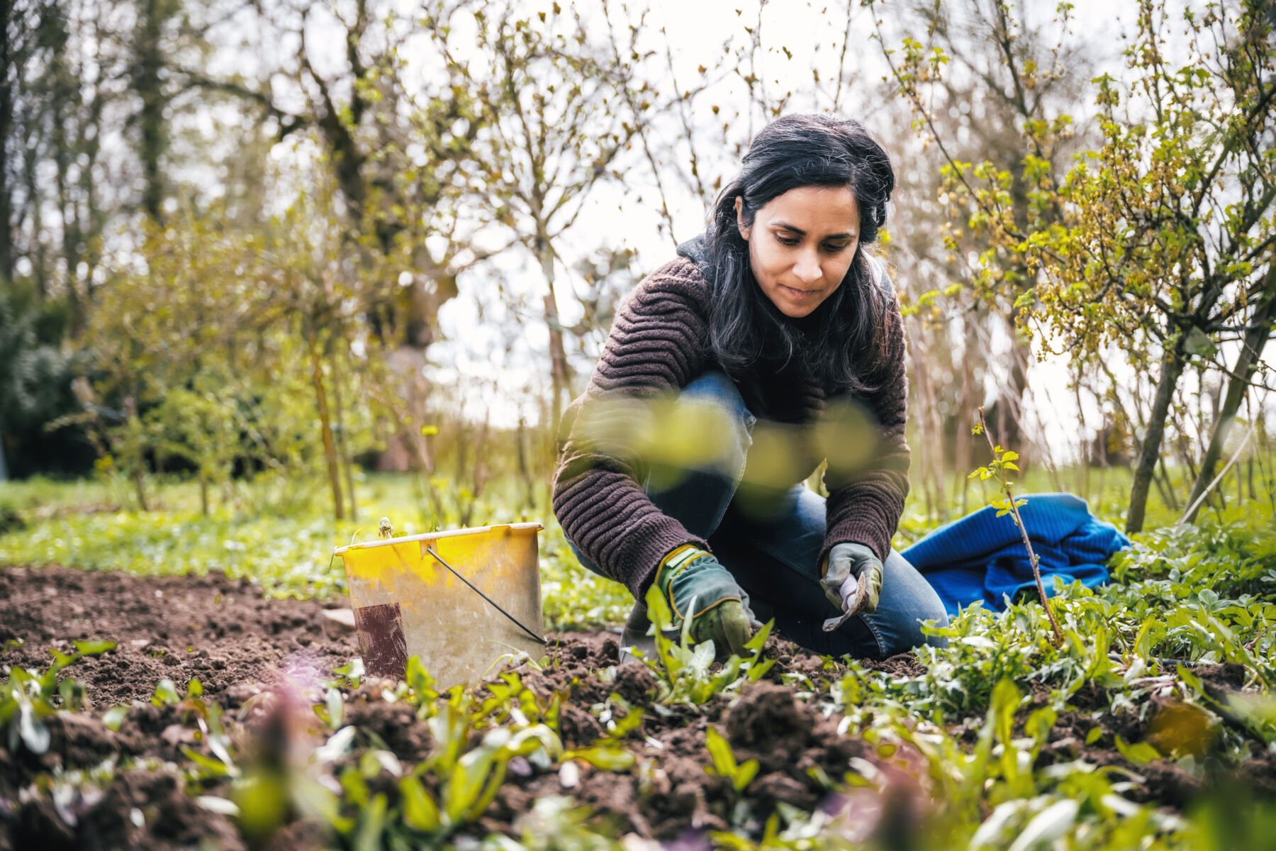 Woman Gardening in Fall