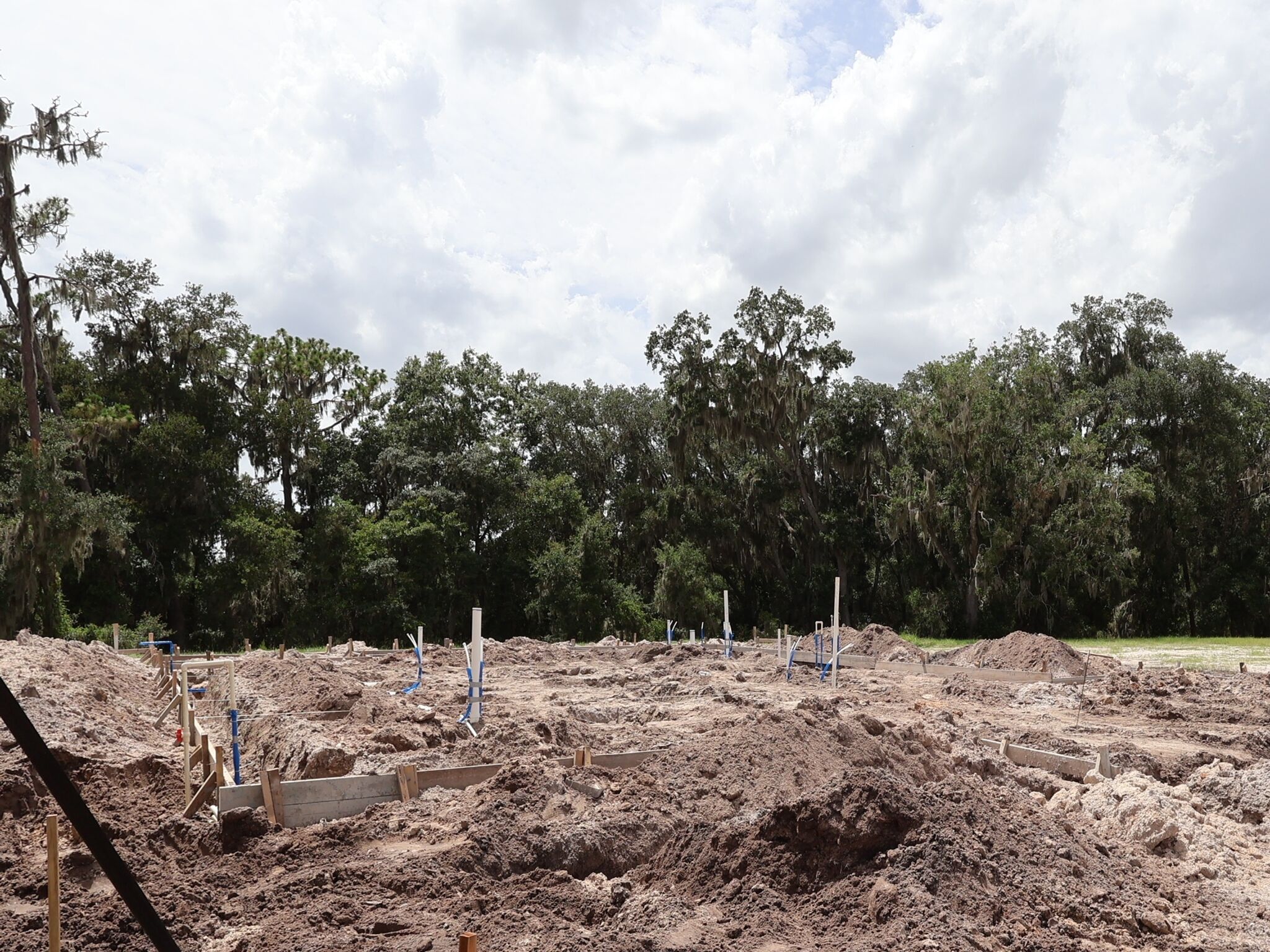 Homesite