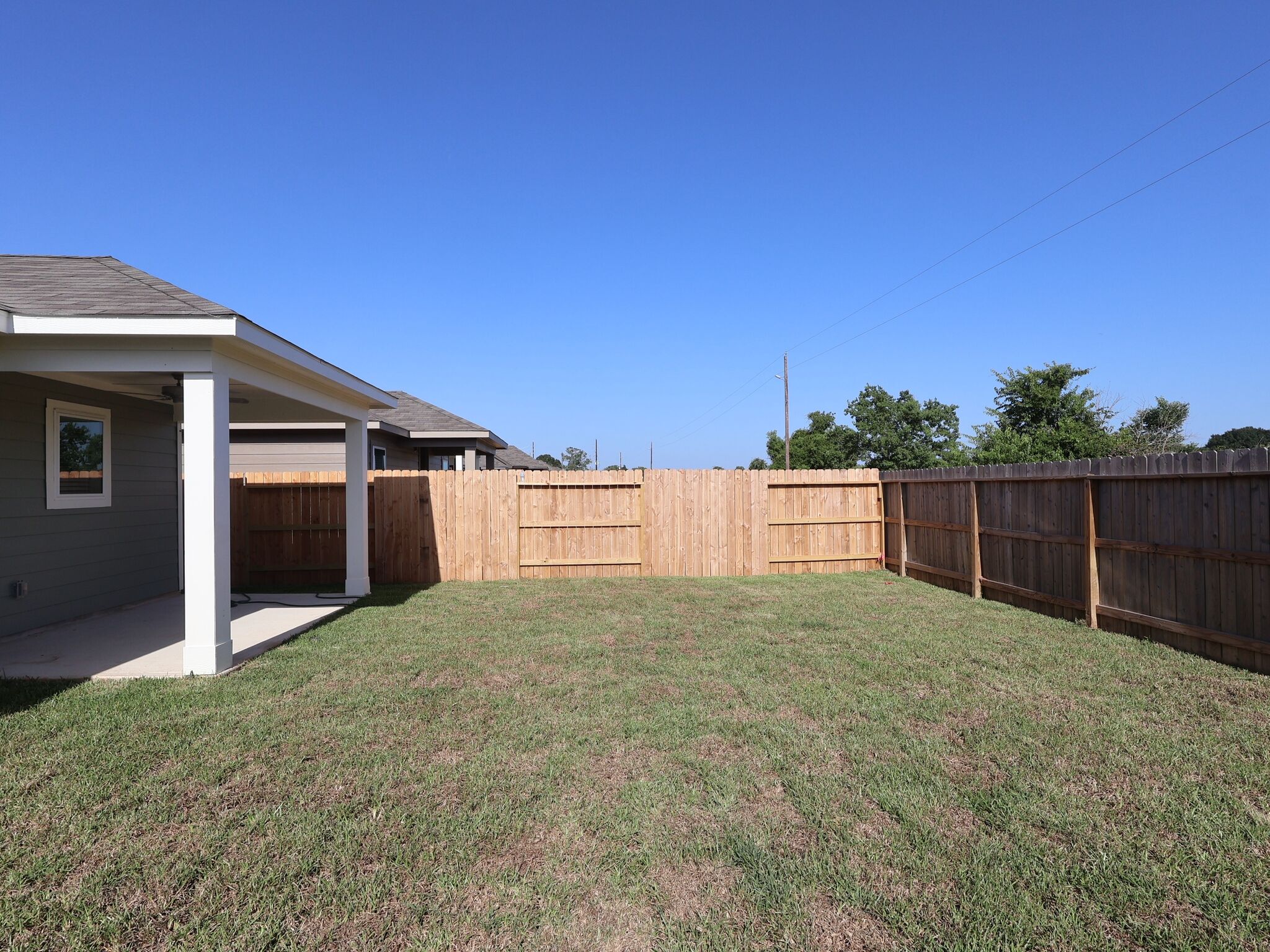 Backyard