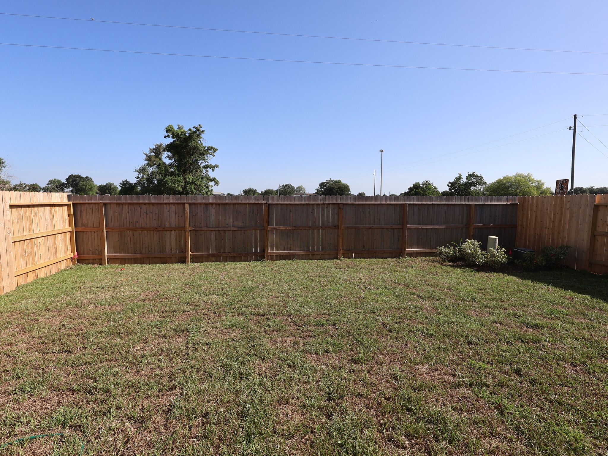 Backyard