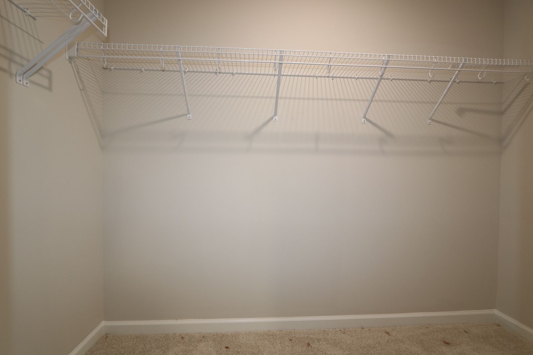 Owner's Closet