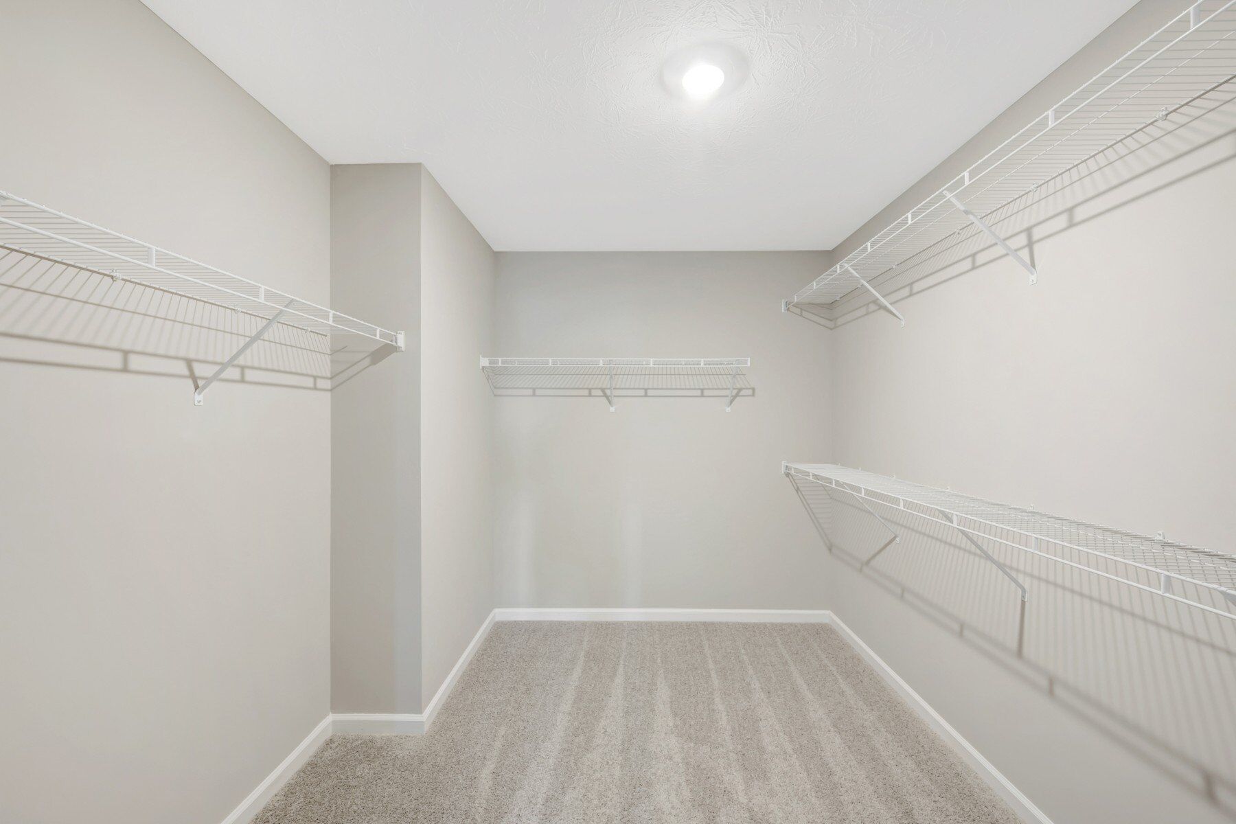 Owner's Closet