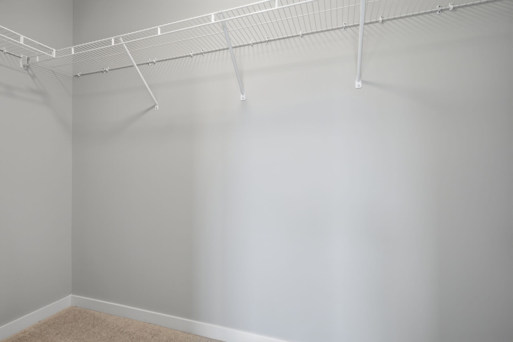 Owner's Closet