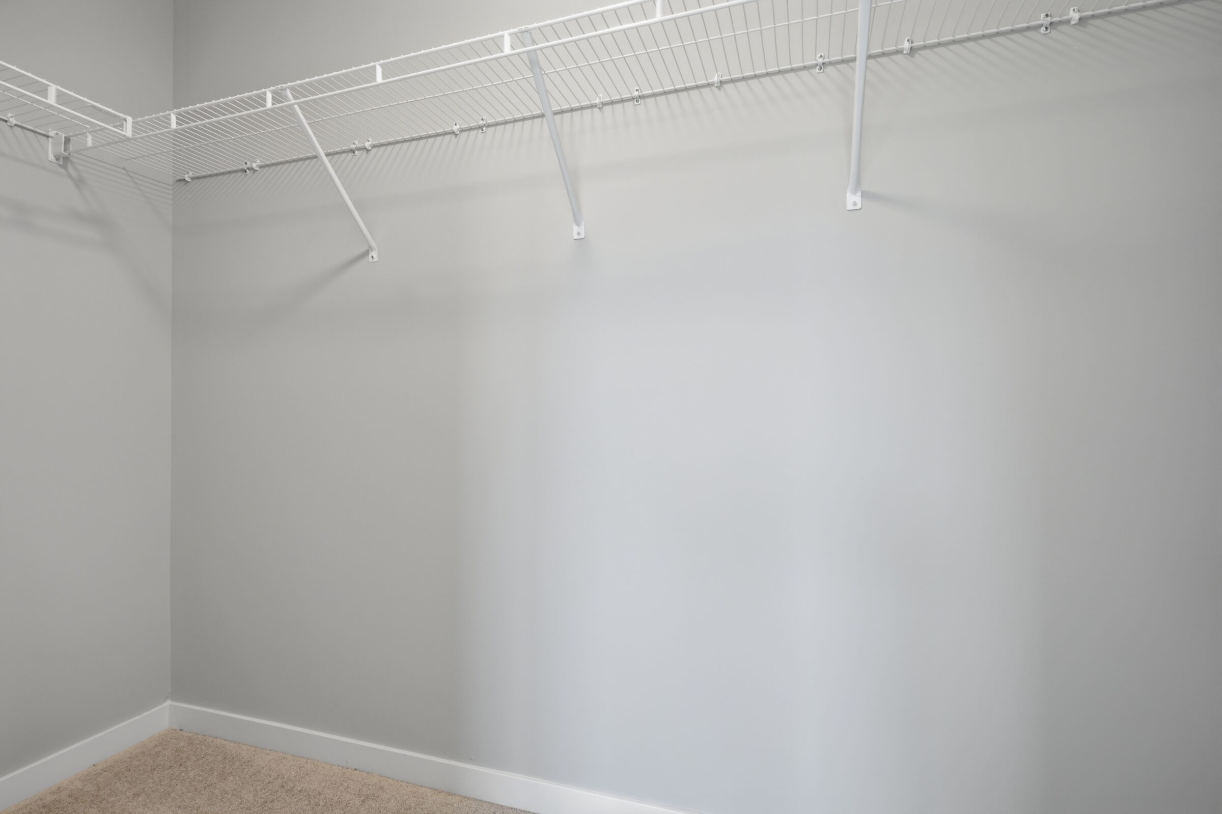 Owner's Closet