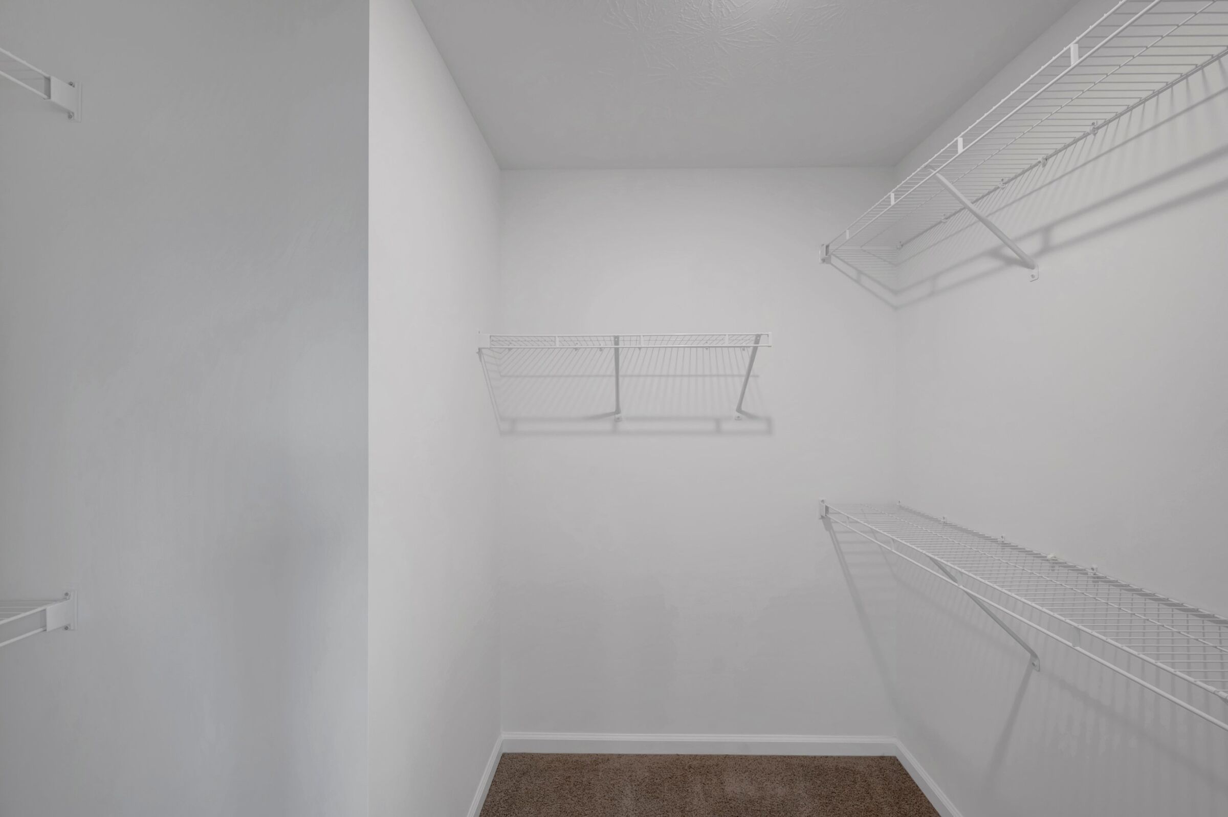 Owner's Closet