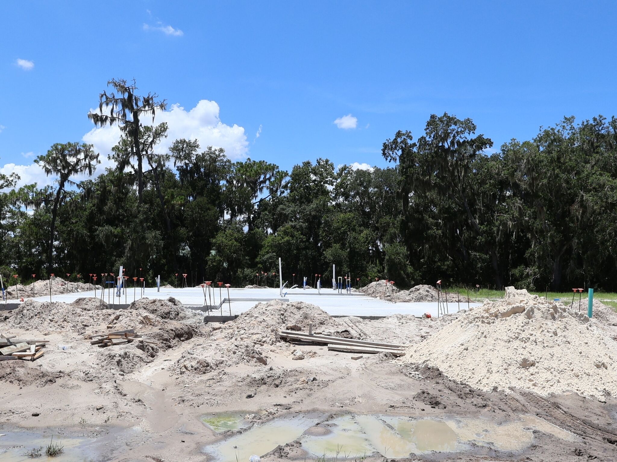 Homesite