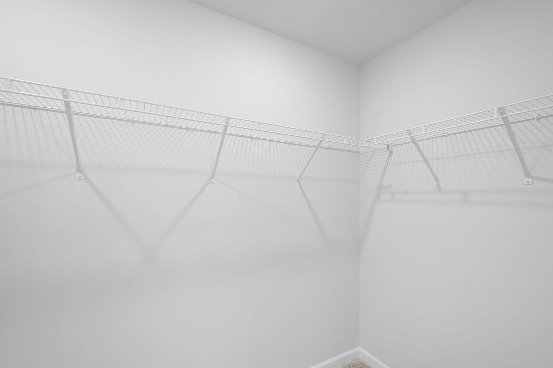 Owner's Closet