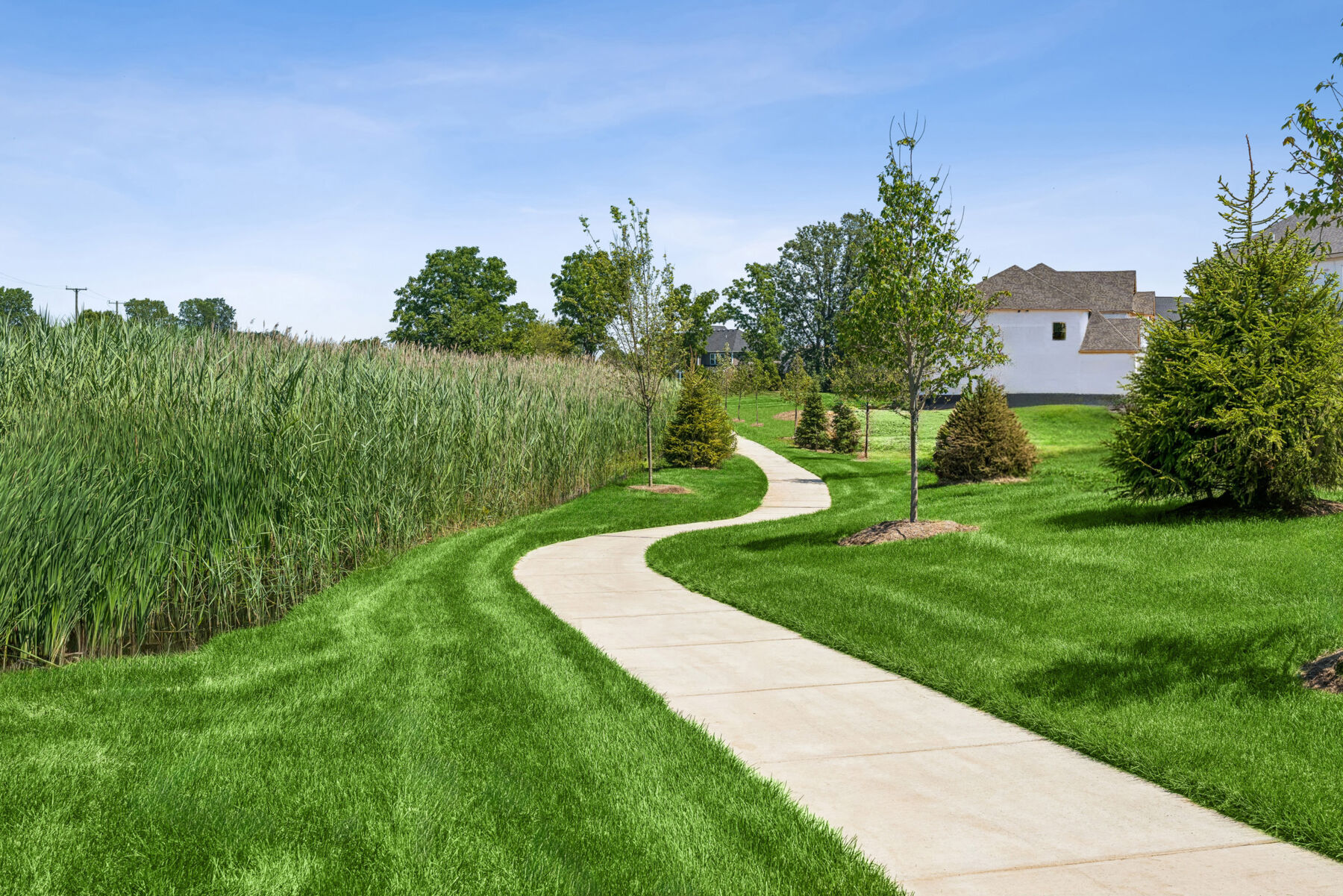 Walking Trail