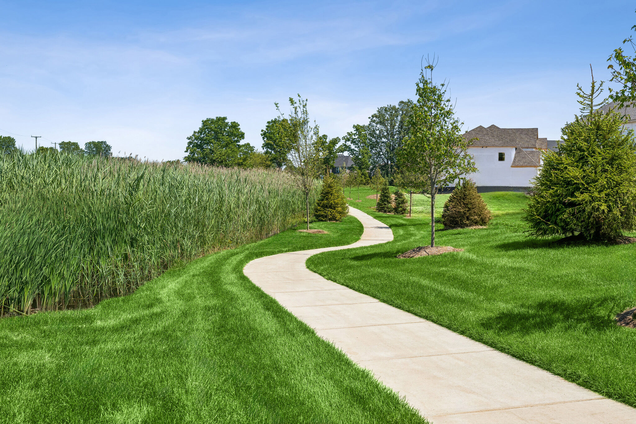 Harvest Arbor