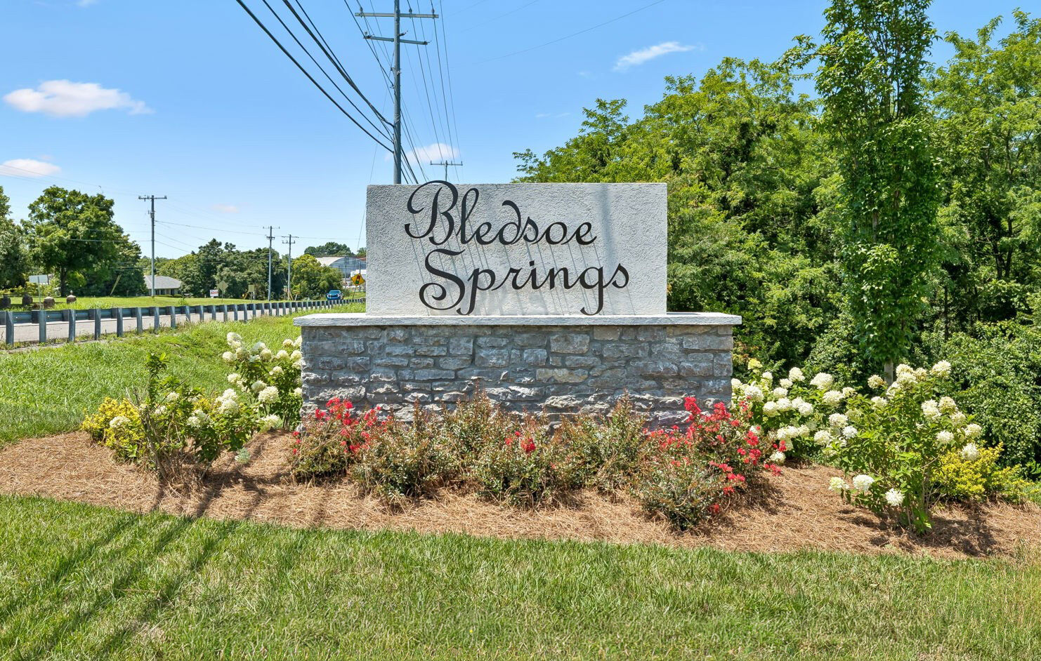 Bledsoe Springs