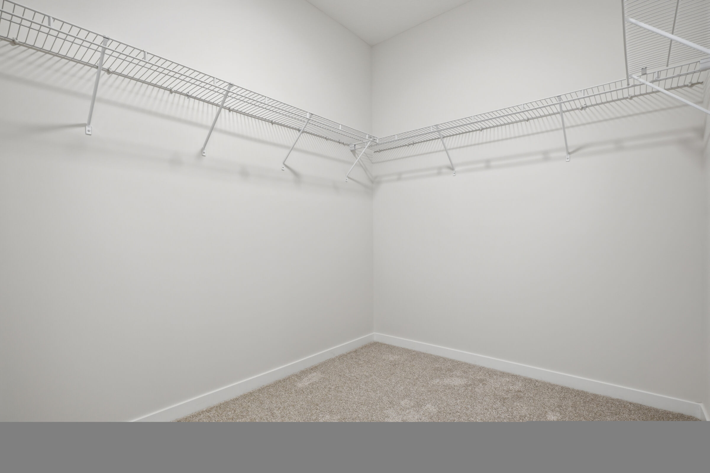 Owner's Closet