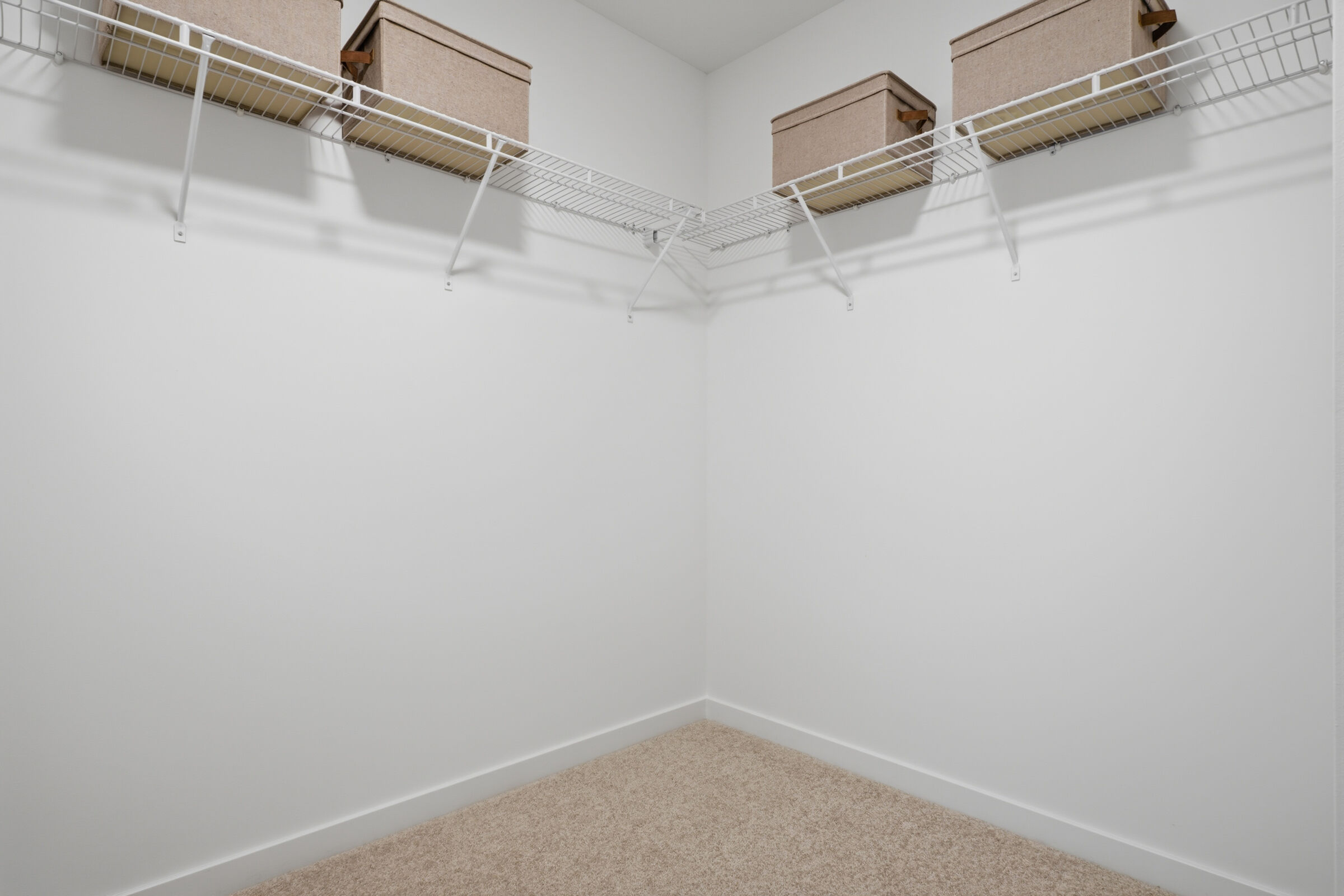 Owner's Closet