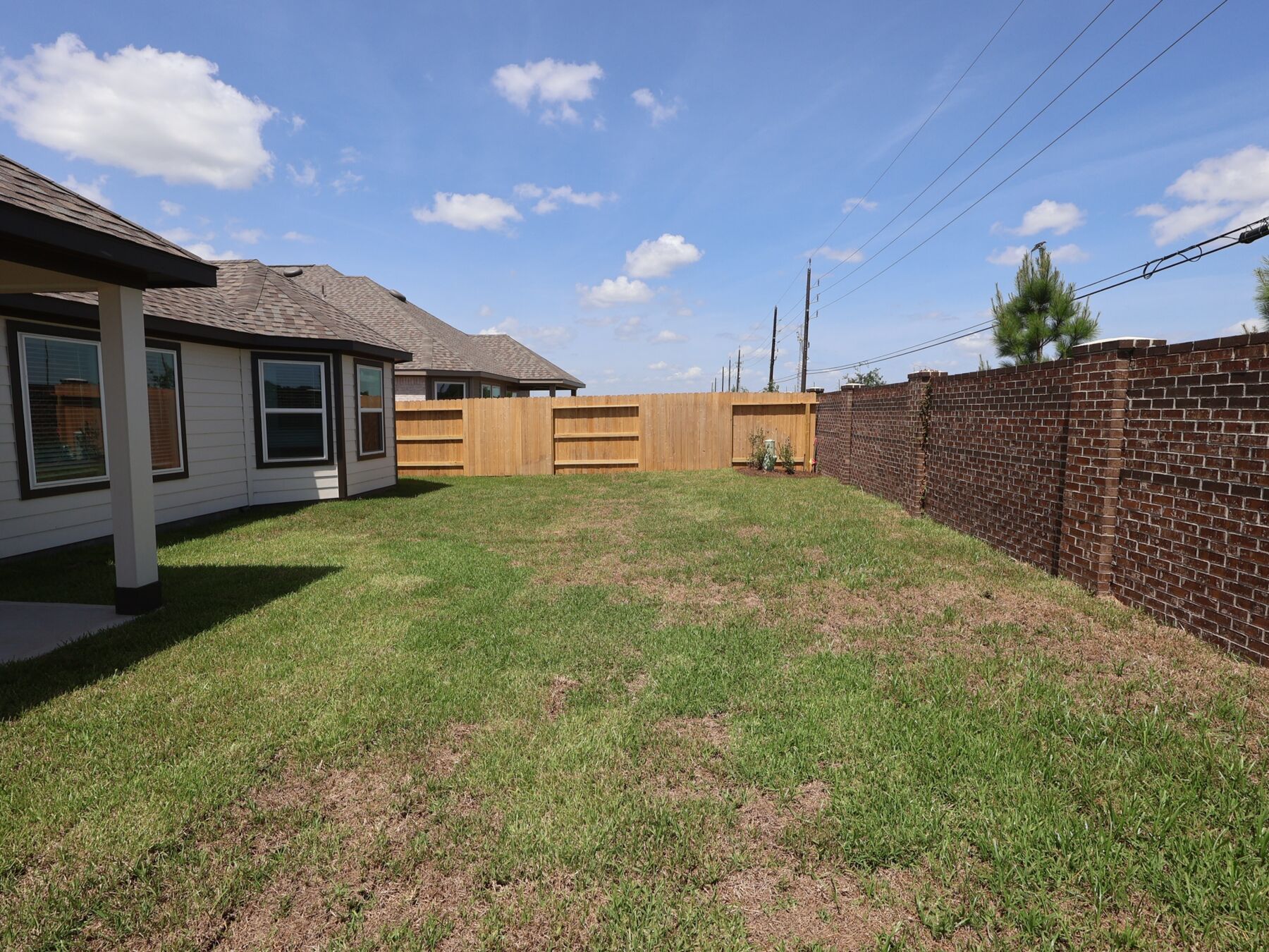 Backyard
