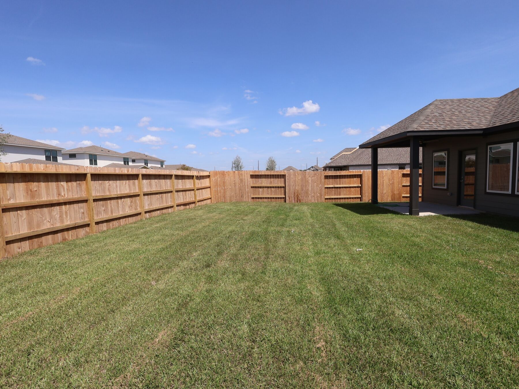 Backyard