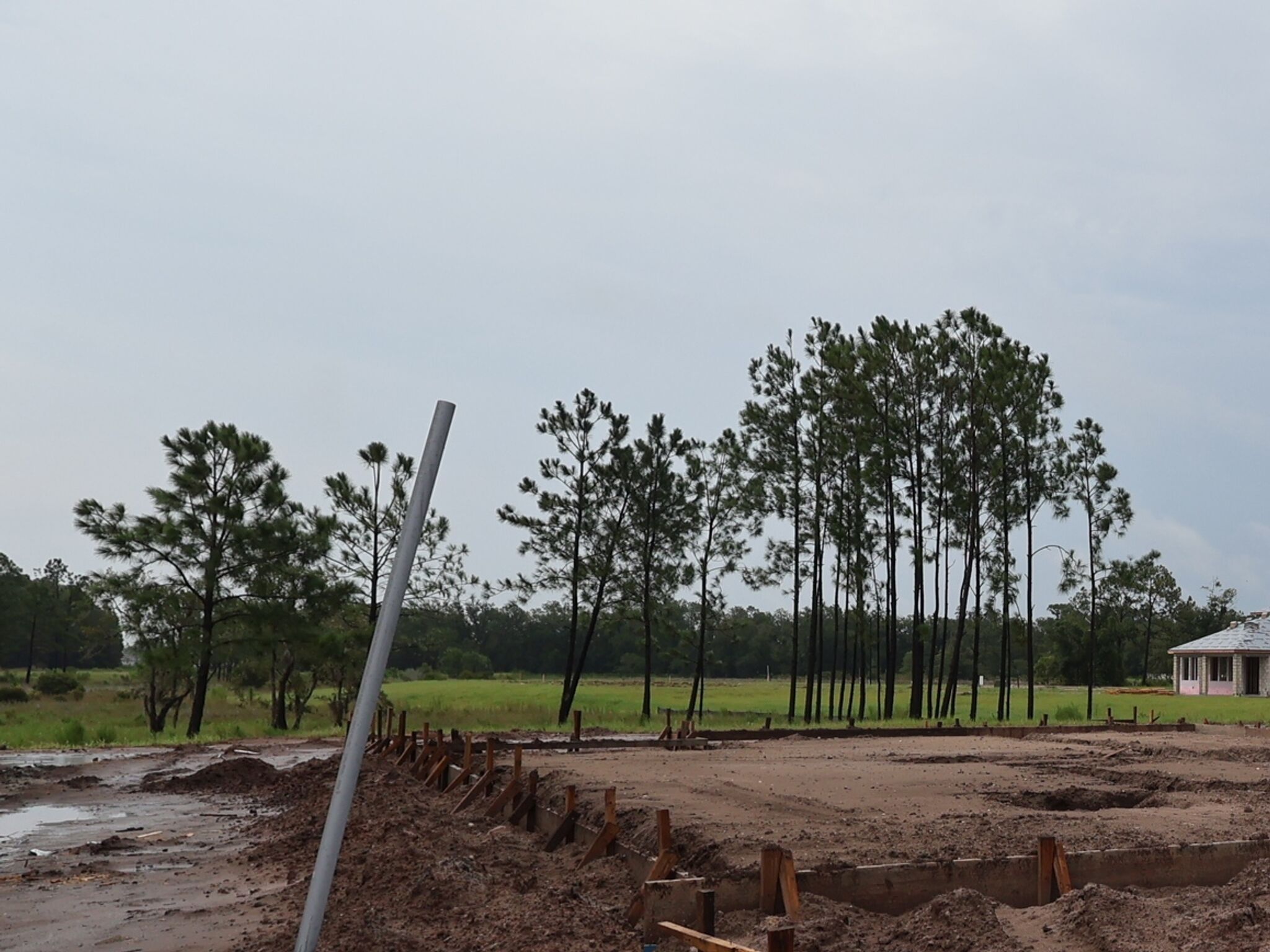 Homesite
