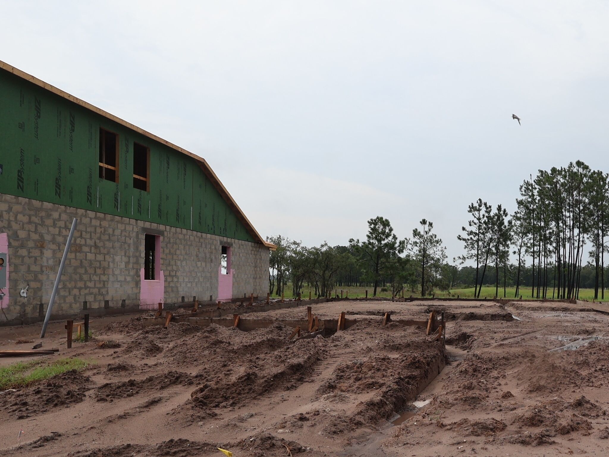 Homesite
