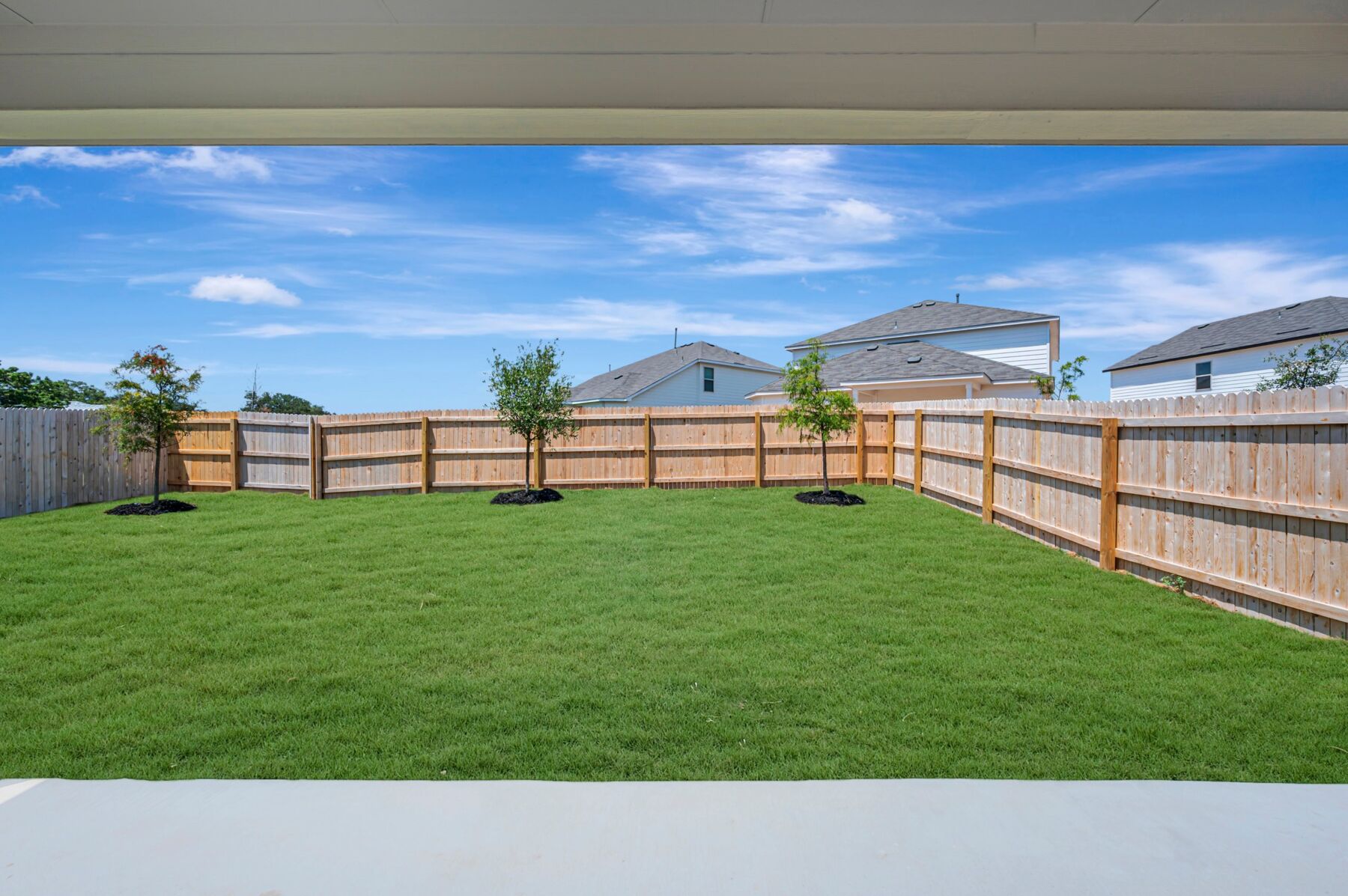 Backyard
