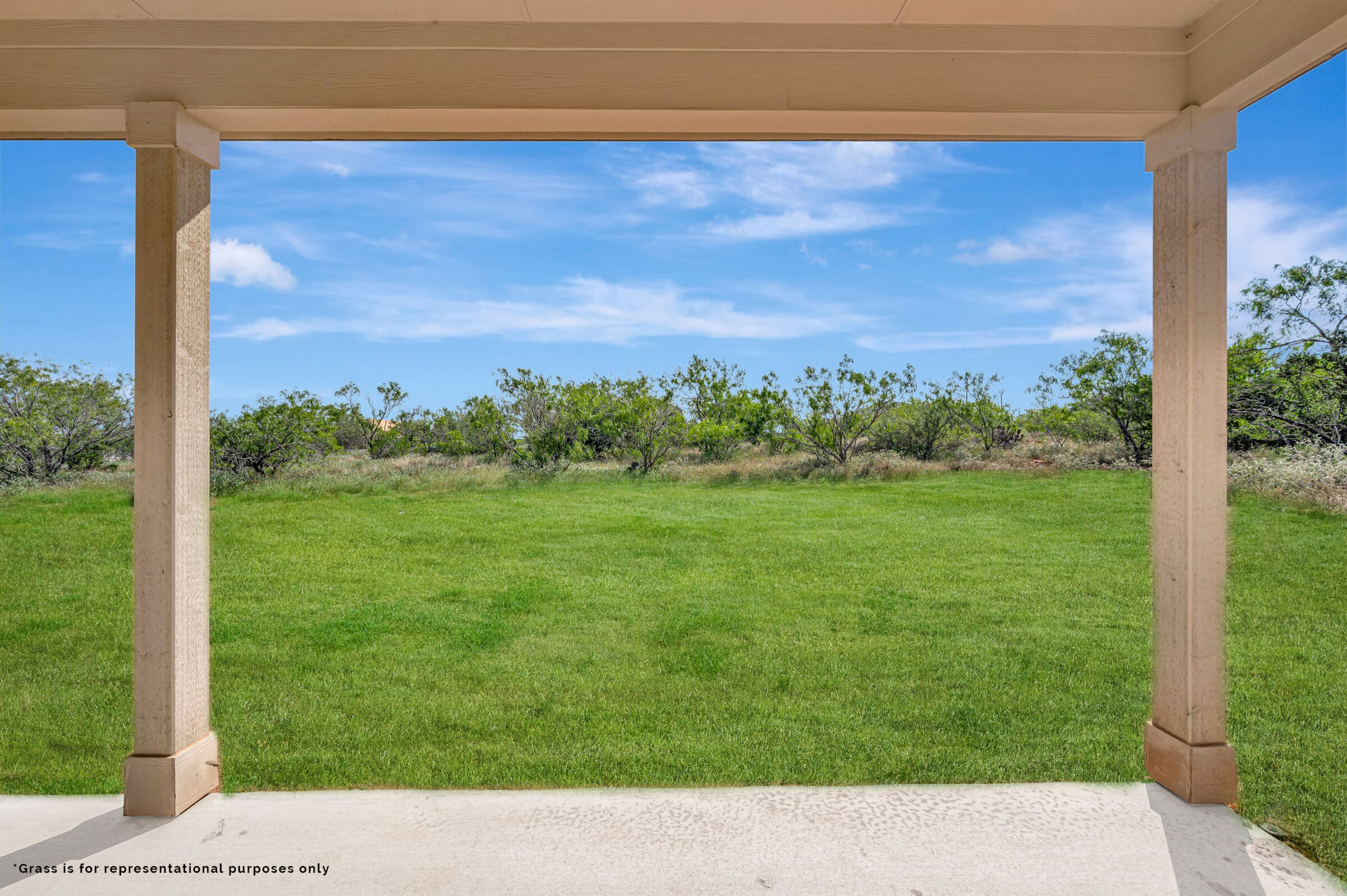 Representational Grass Exteriors