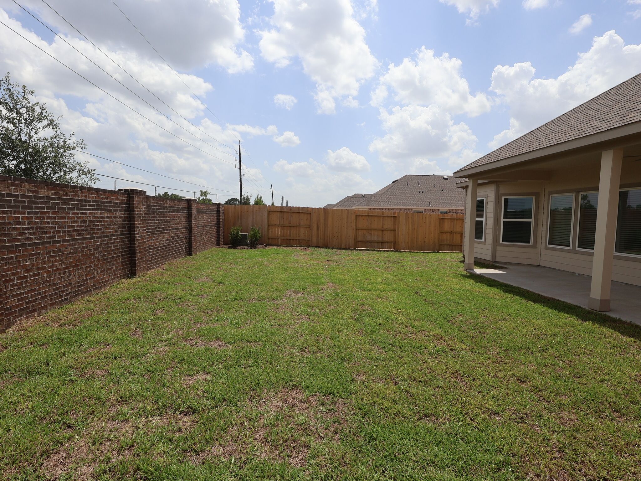 Backyard