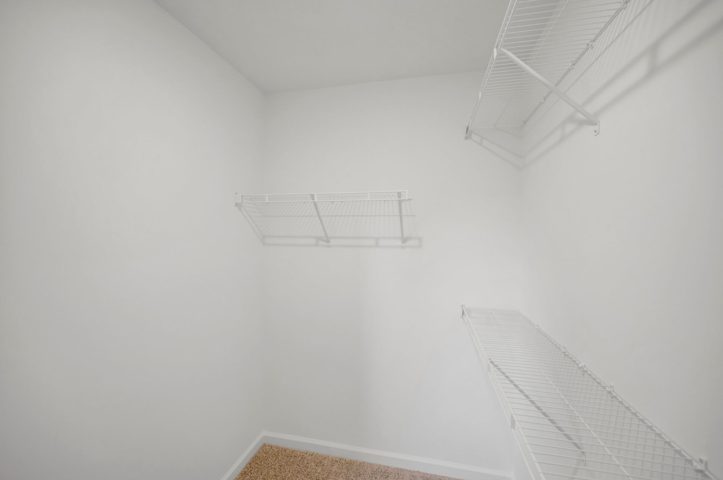 Owner's Closet