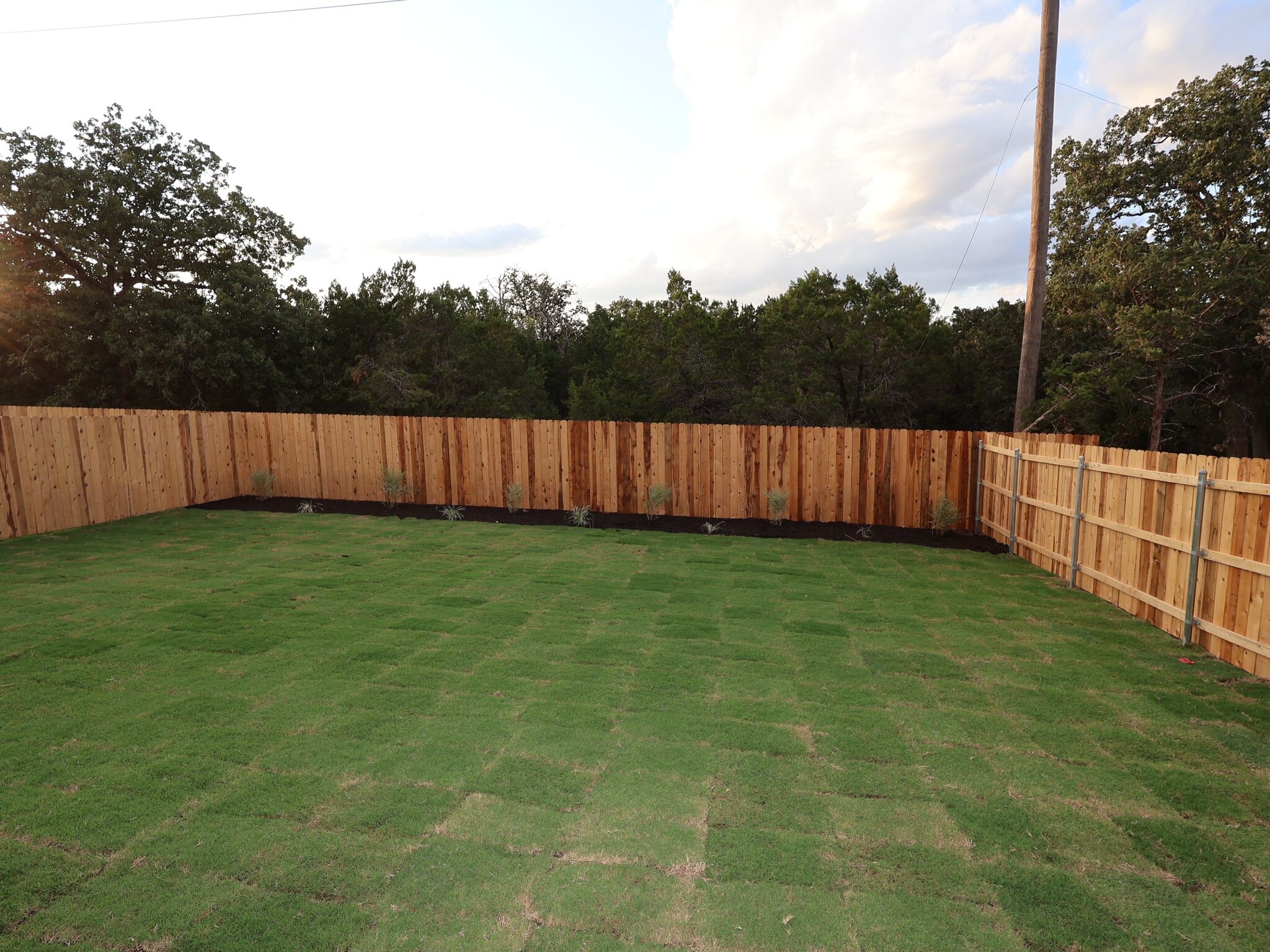 Backyard