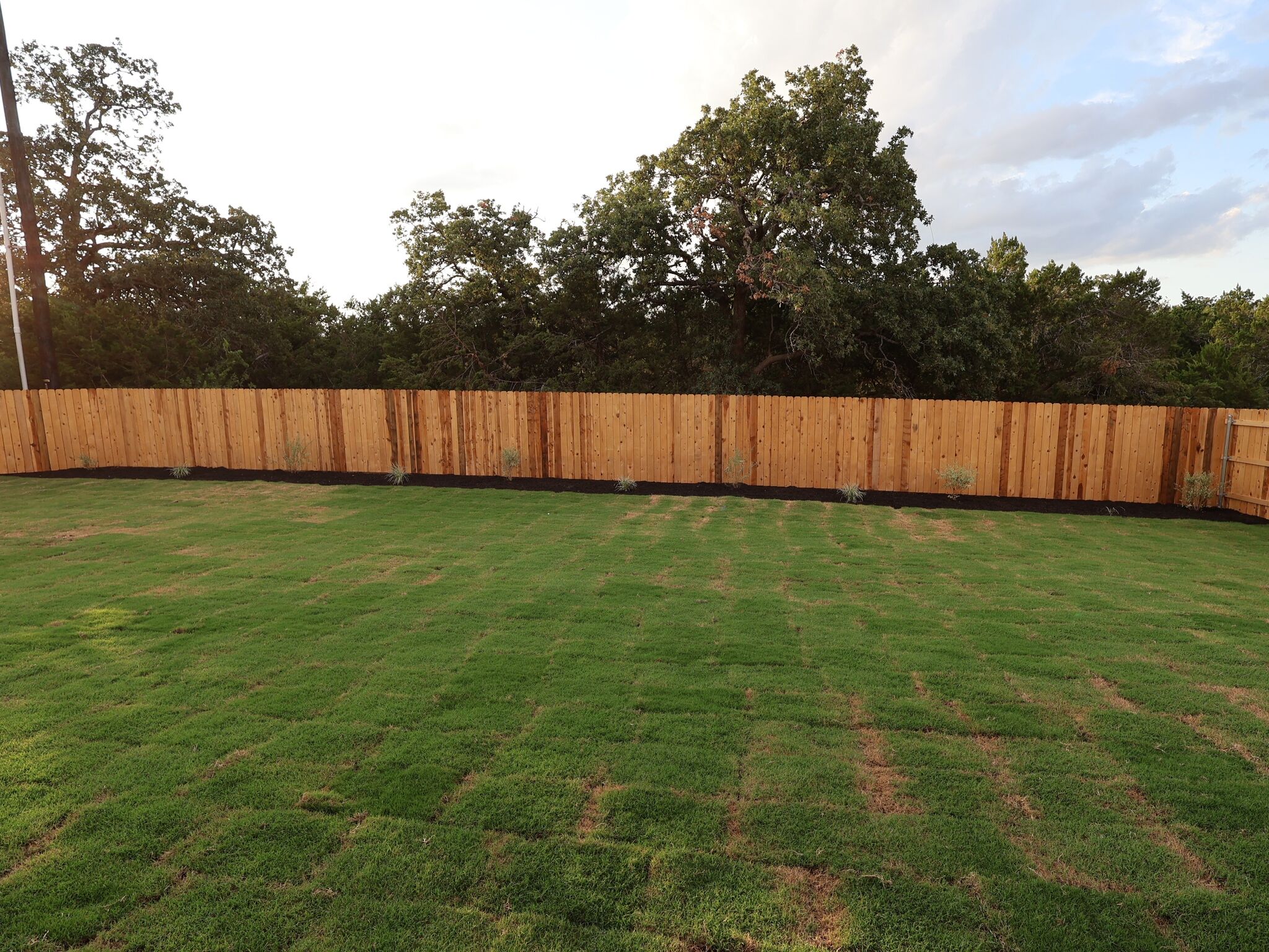 Backyard