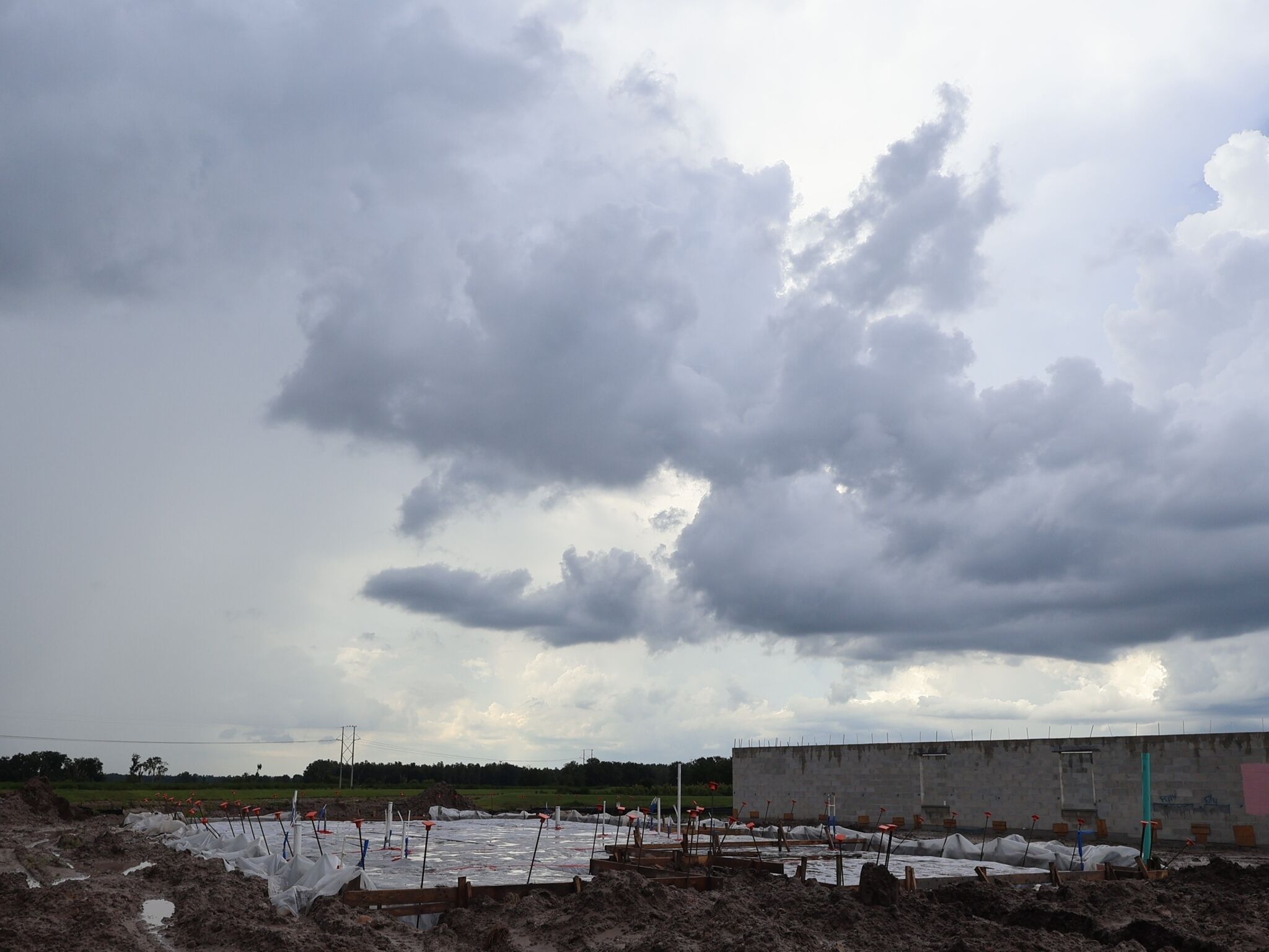 Homesite